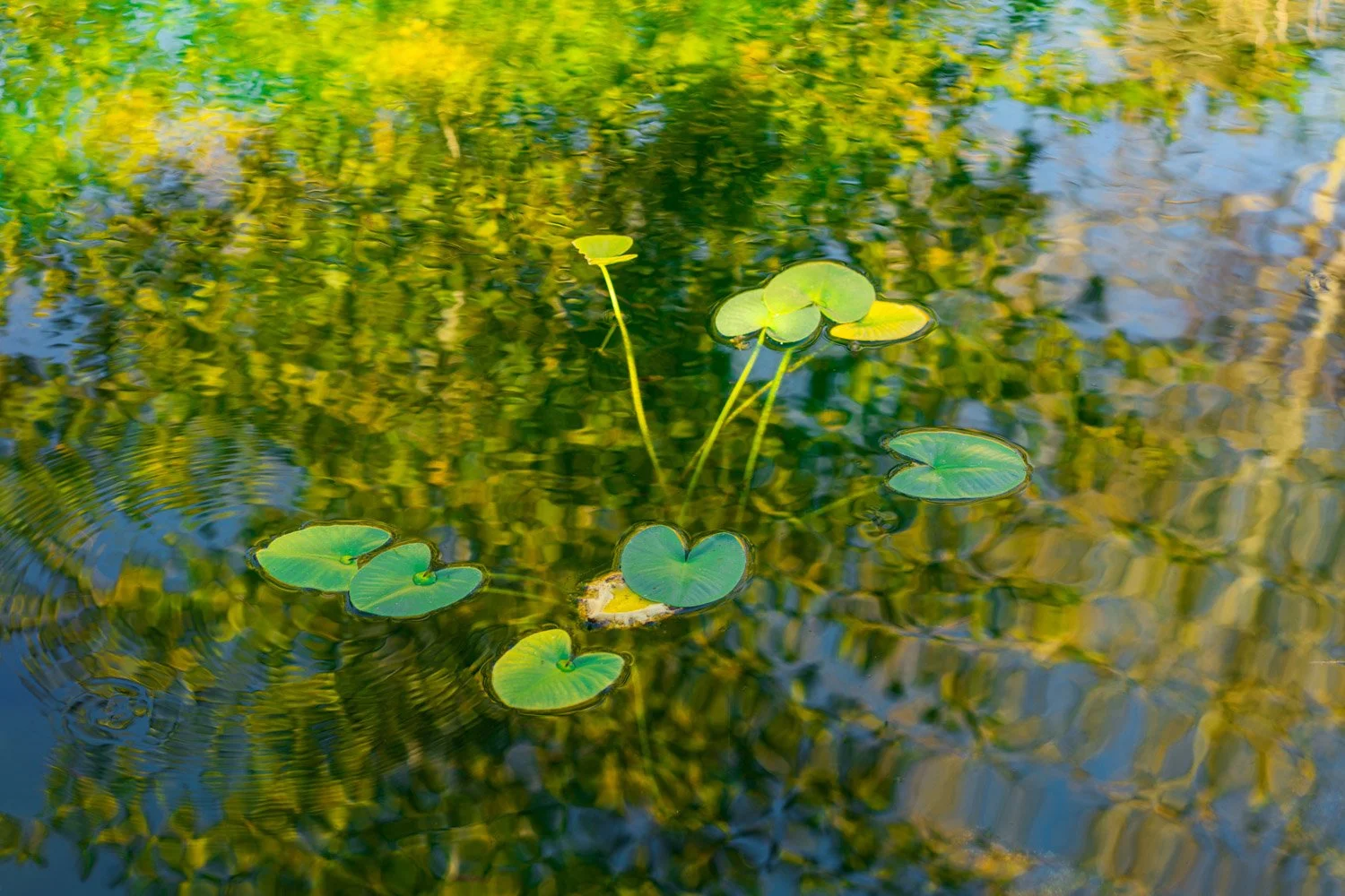 Blog_045.jpg