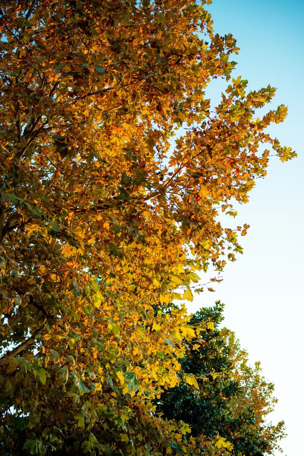 Blog_020.jpg