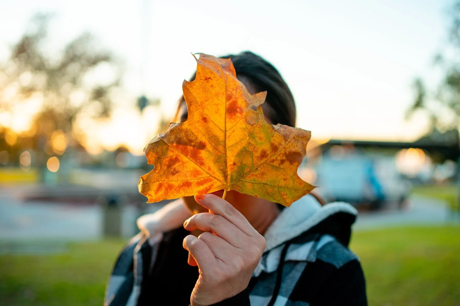 Blog_021.jpg