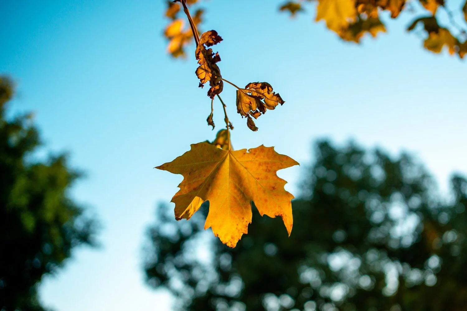 Blog_022.jpg