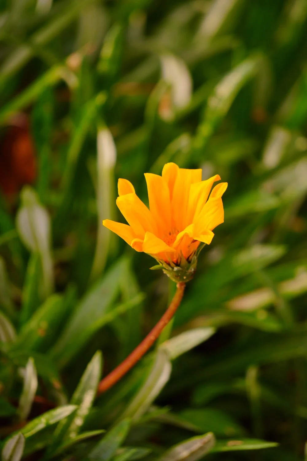 Blog_018.jpg
