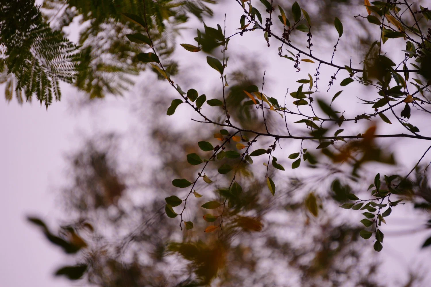 Blog_038.jpg