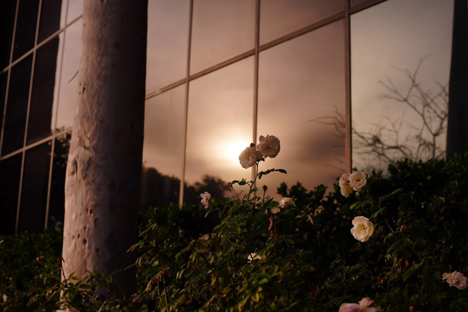 Blog_051.jpg