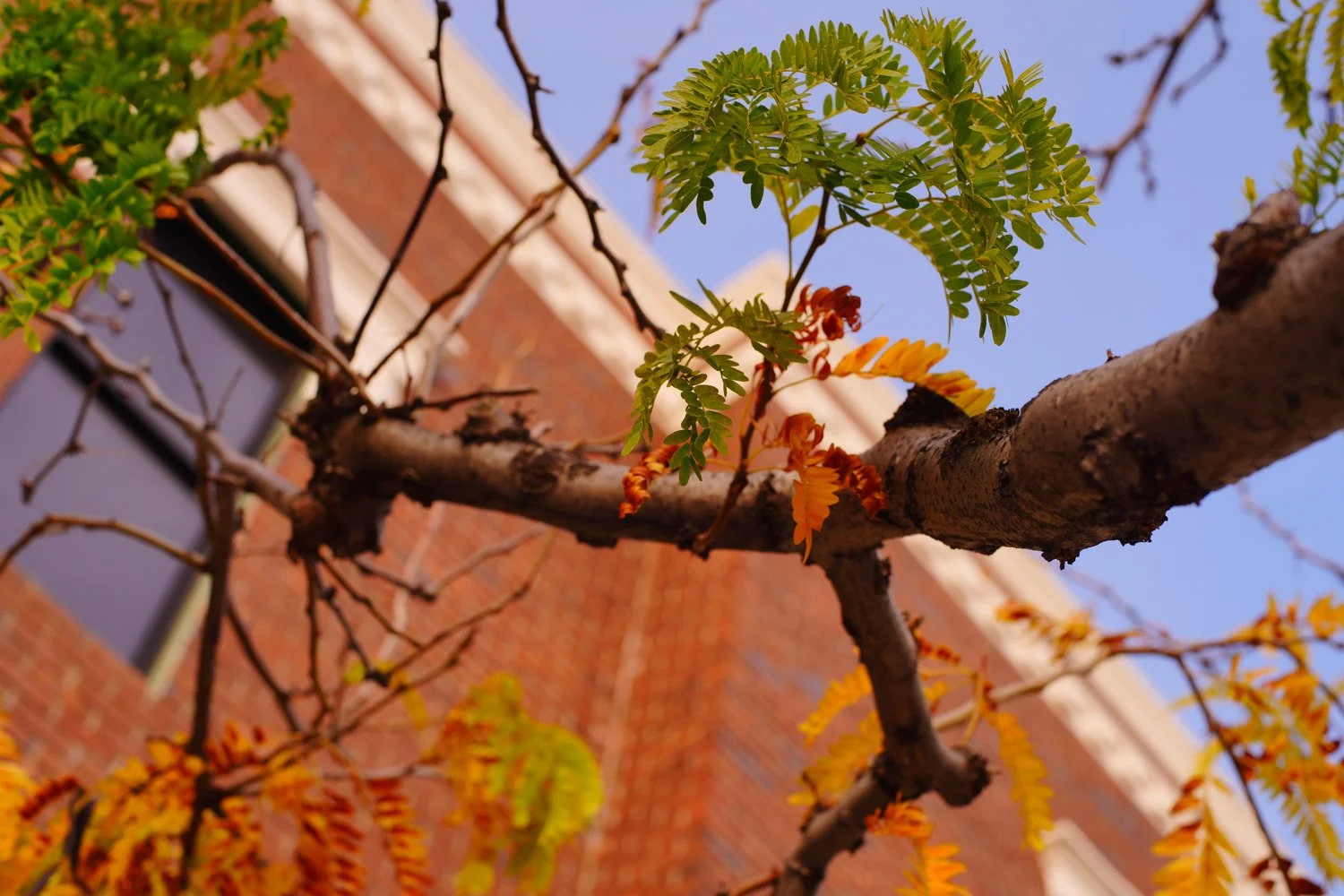 Blog_055.jpg