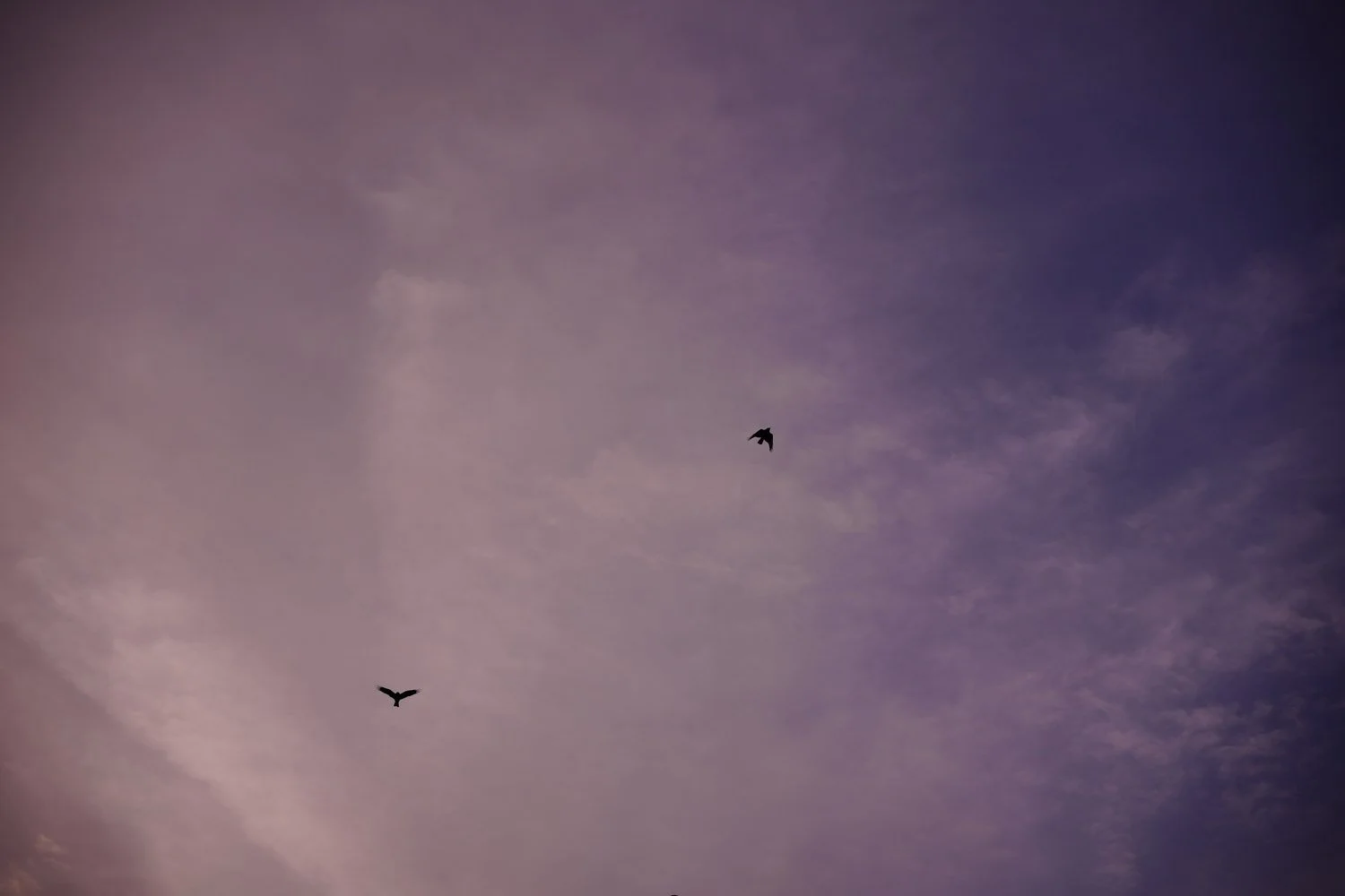 Blog_108.jpg