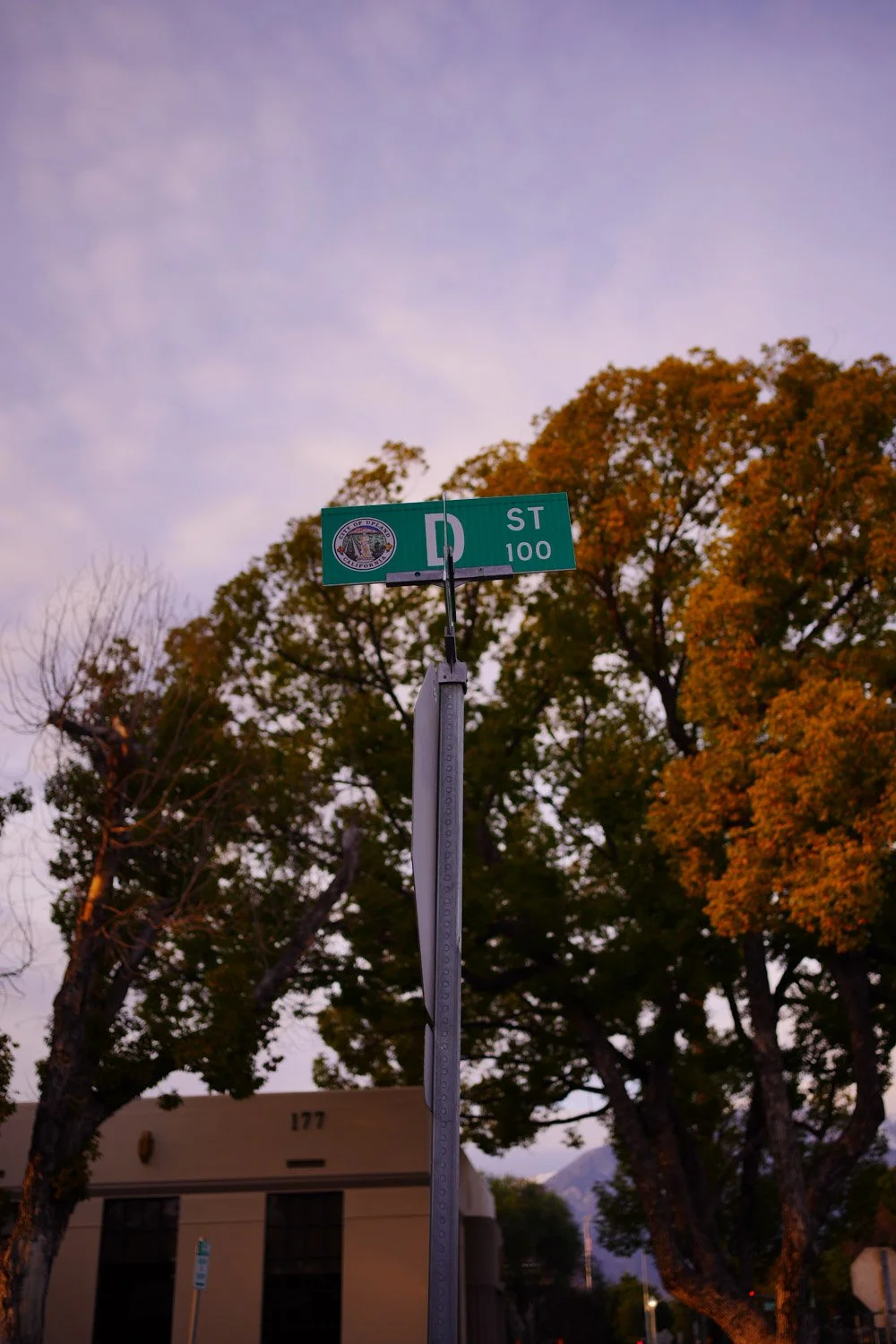 Blog_126.jpg