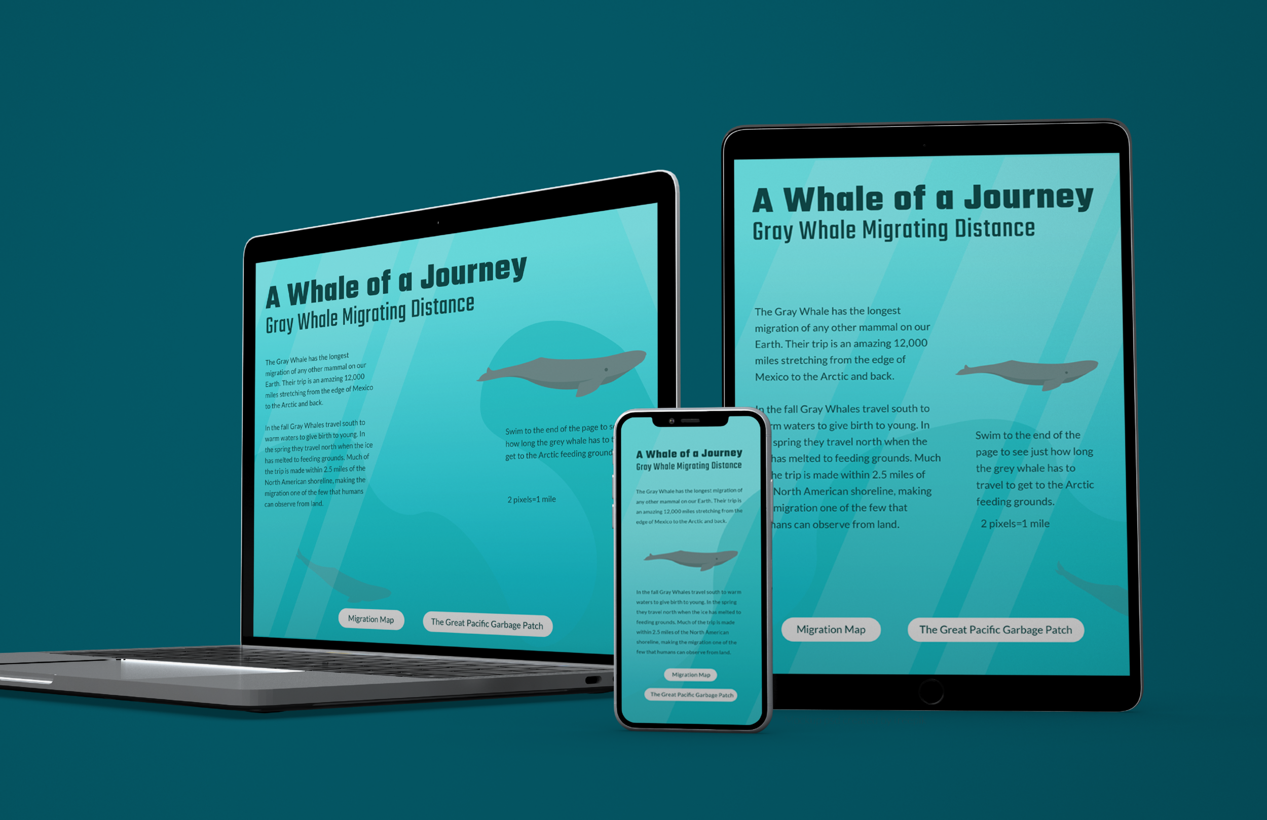 Whale-CaseStudy-dark-06.png