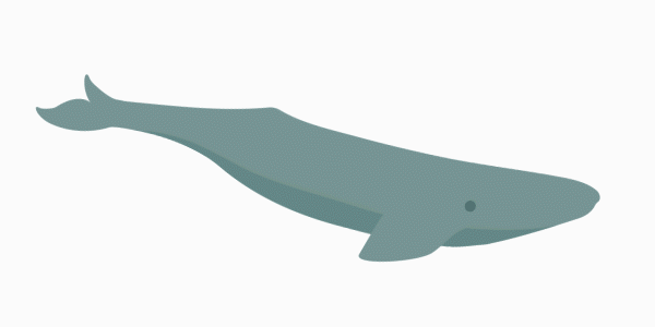 Whale-White.gif