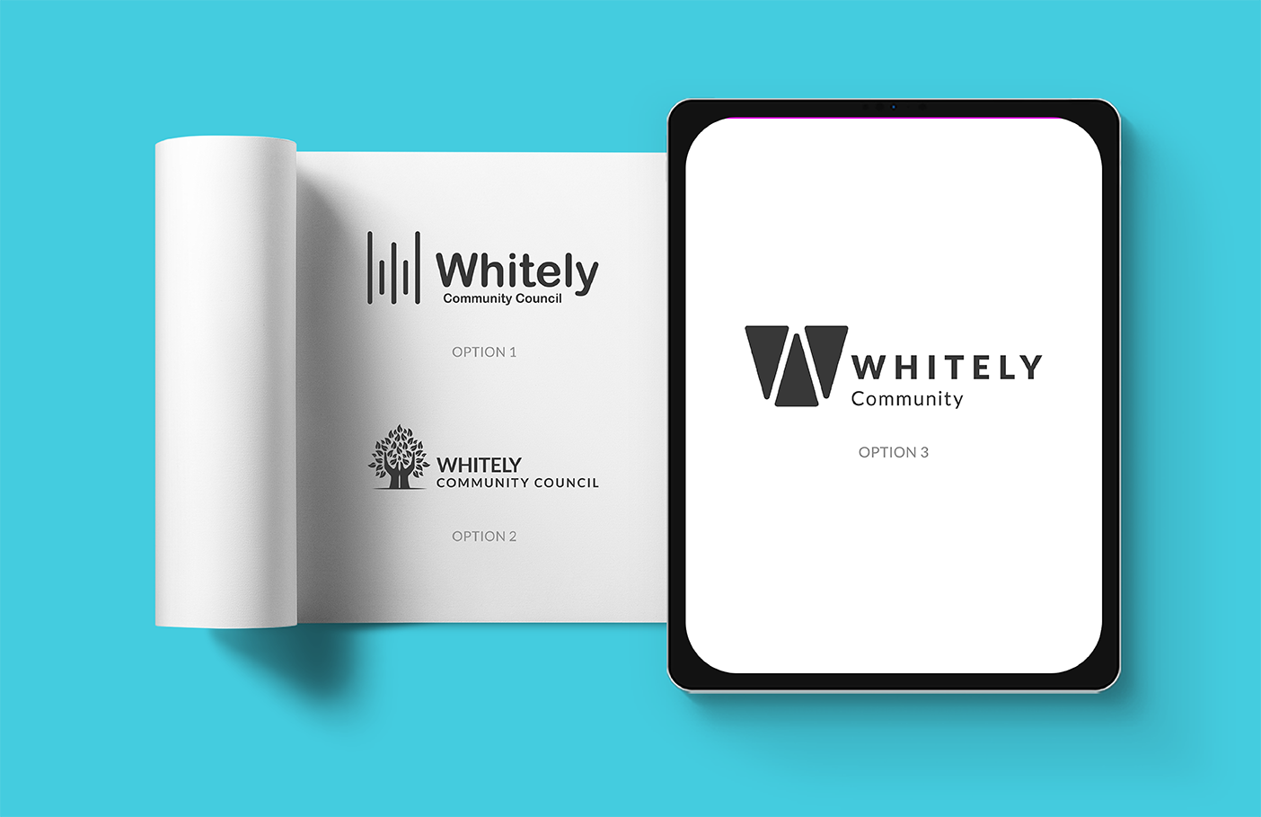 CaseStudy-Whitely_V2-12.png