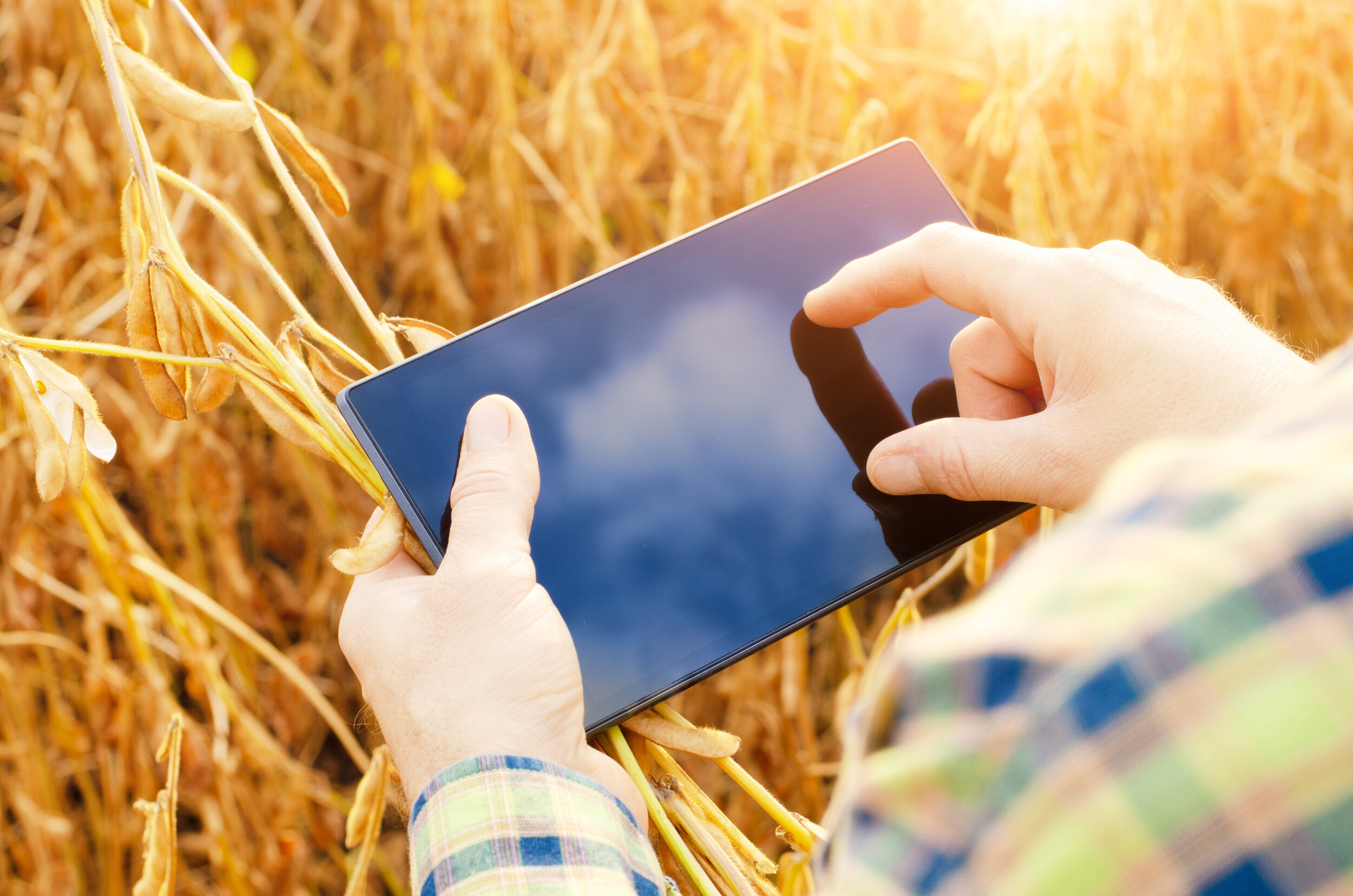 Aiba Lab no Bahia Farm Show