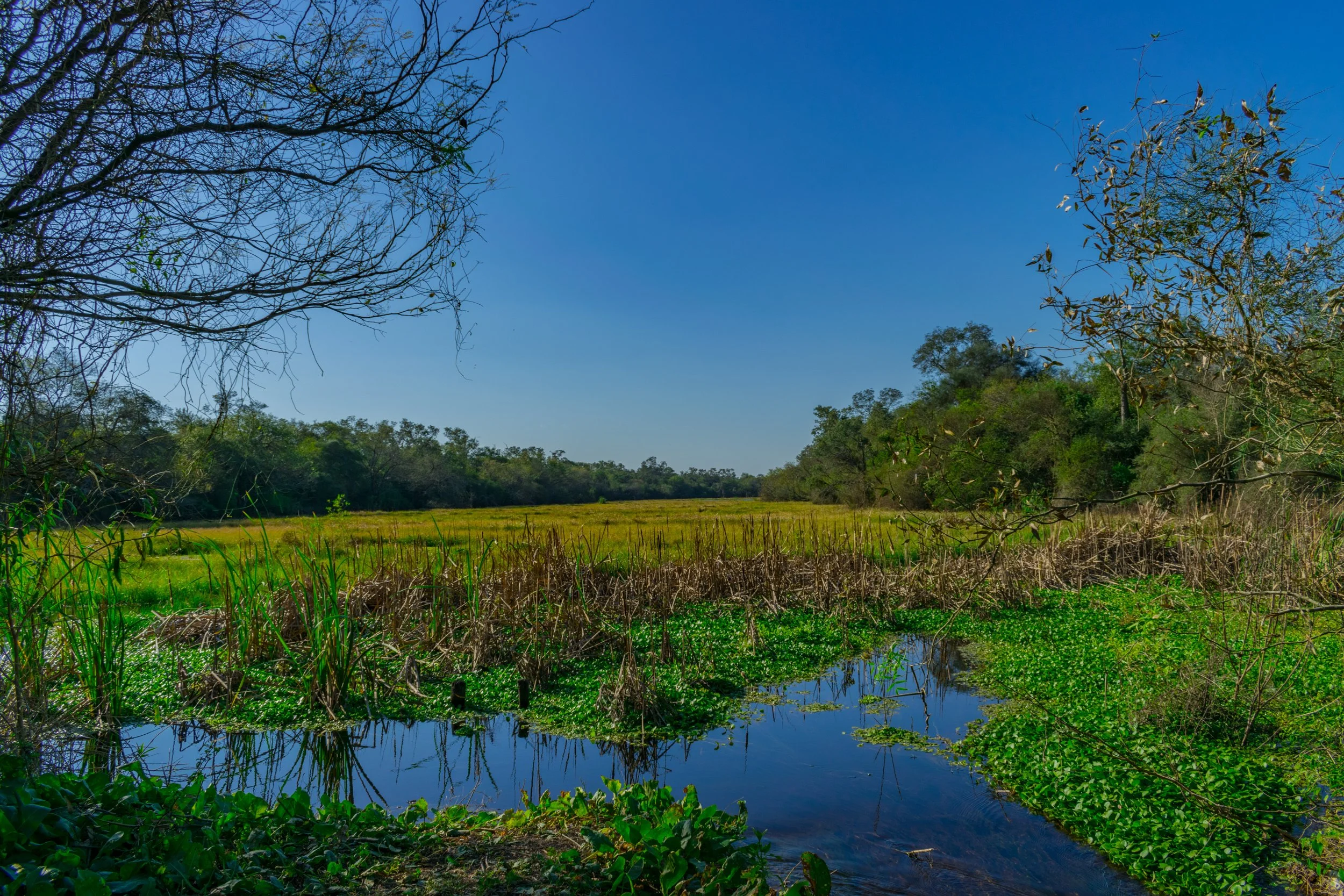 Las primeras reuniones de los land innovation dialogues atraen más de 300 participantes