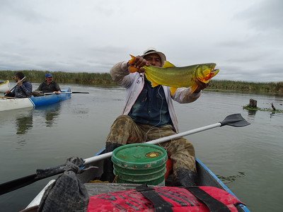 Proyungas Pescando en el Bañado.jpg