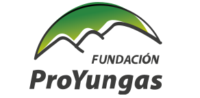 logo Pro Yungas.png
