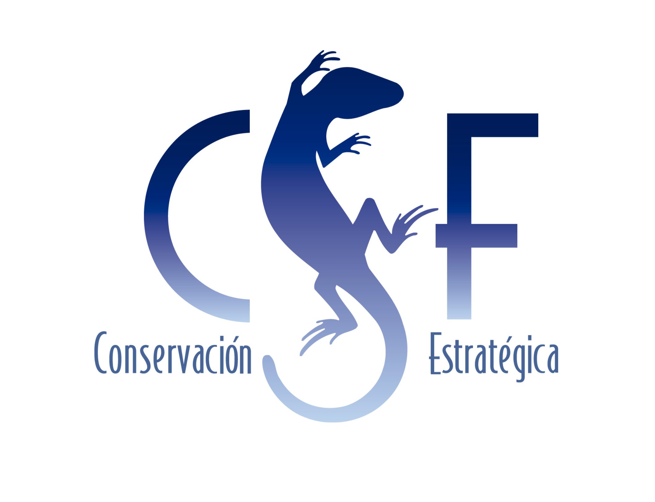 CSF español.jpg