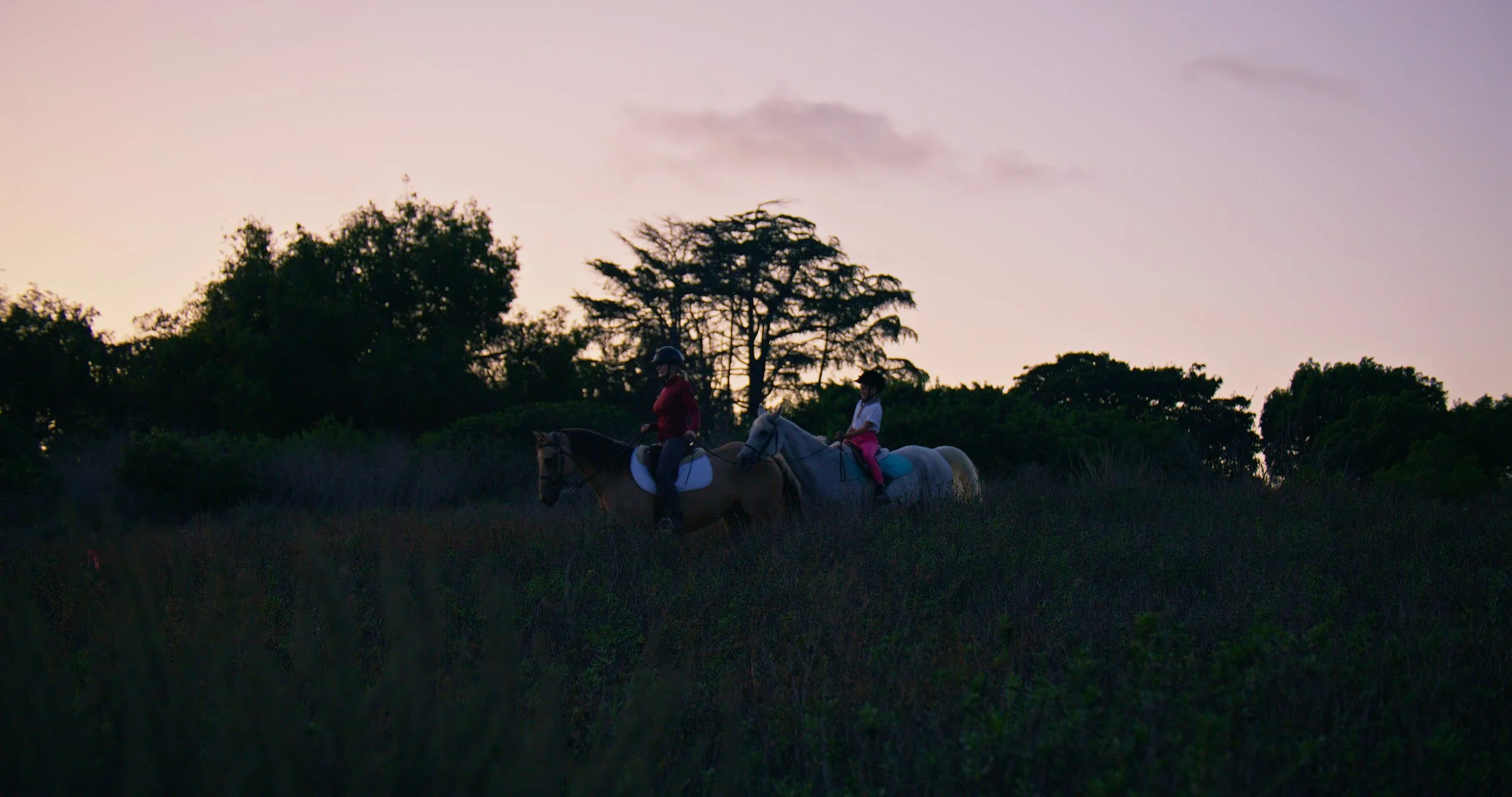 Baleaf Stills_4.7.1.jpg