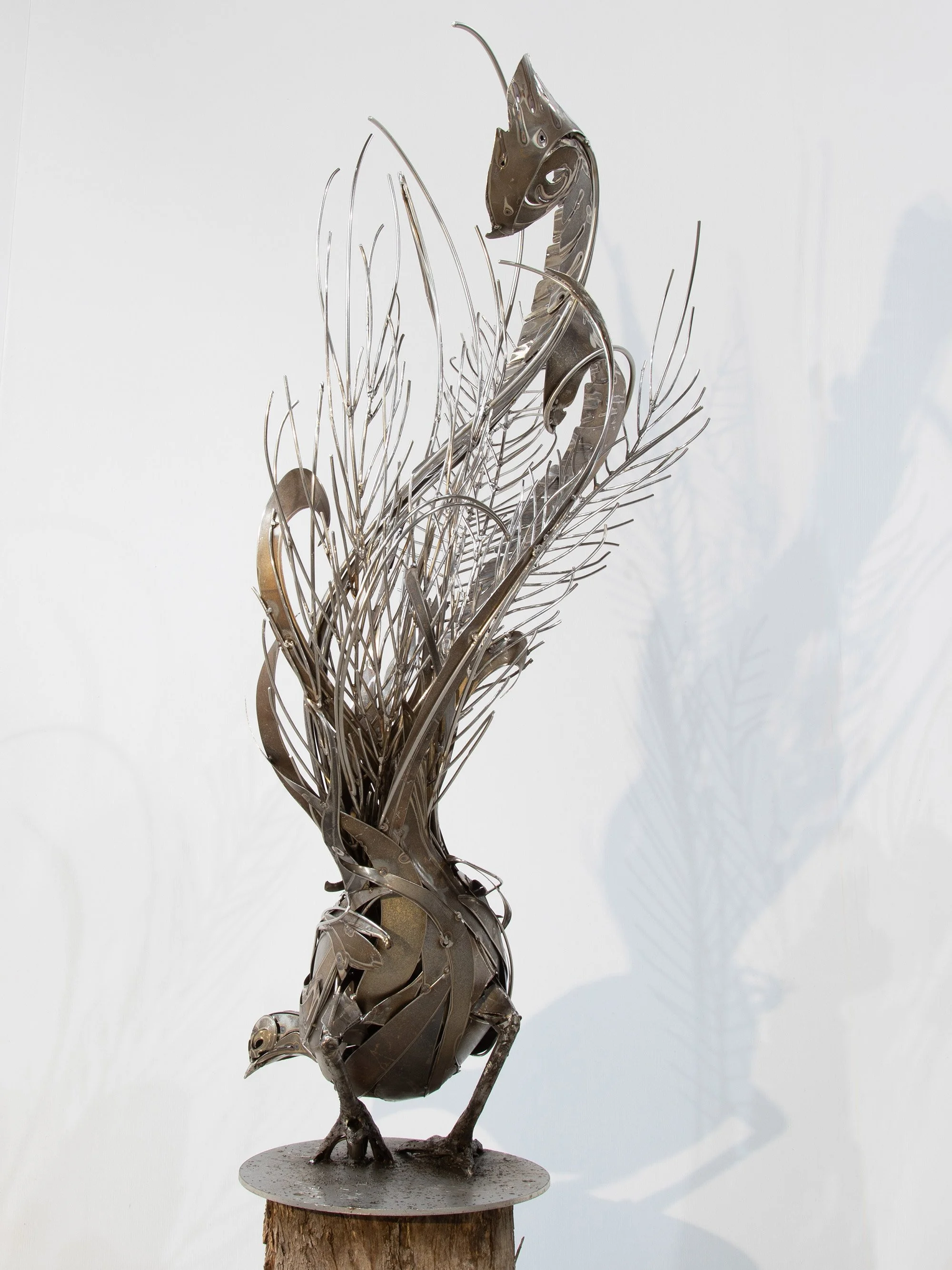 Lyrebird_Georgie_Seccull_web_3.jpg