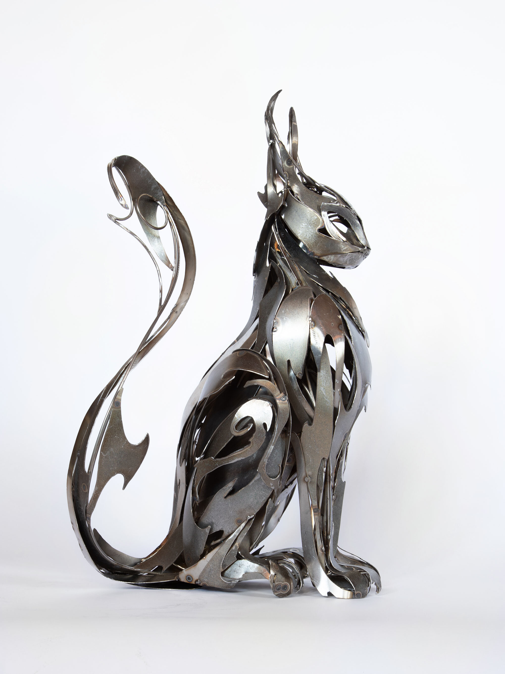 Feline_GeorgieSeccull_web_2.jpg