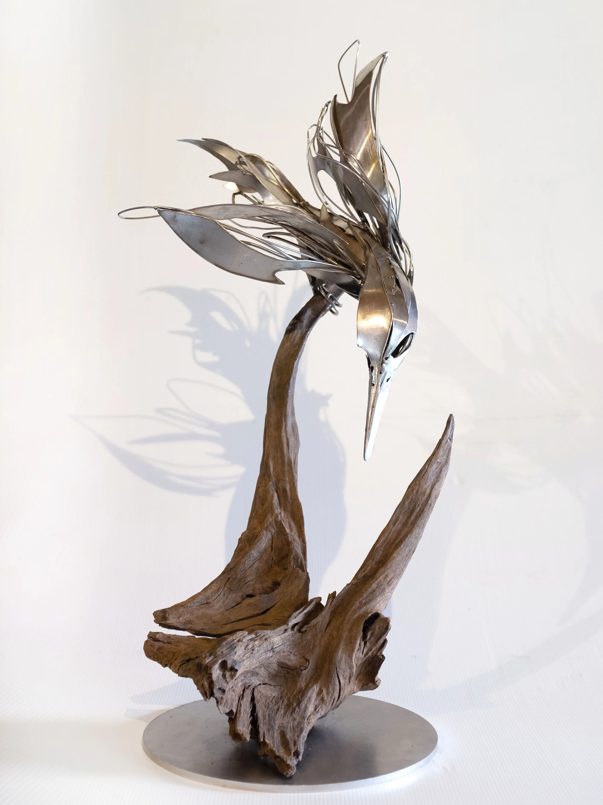Kingfisher_GeorgieSeccull_web_1.jpg