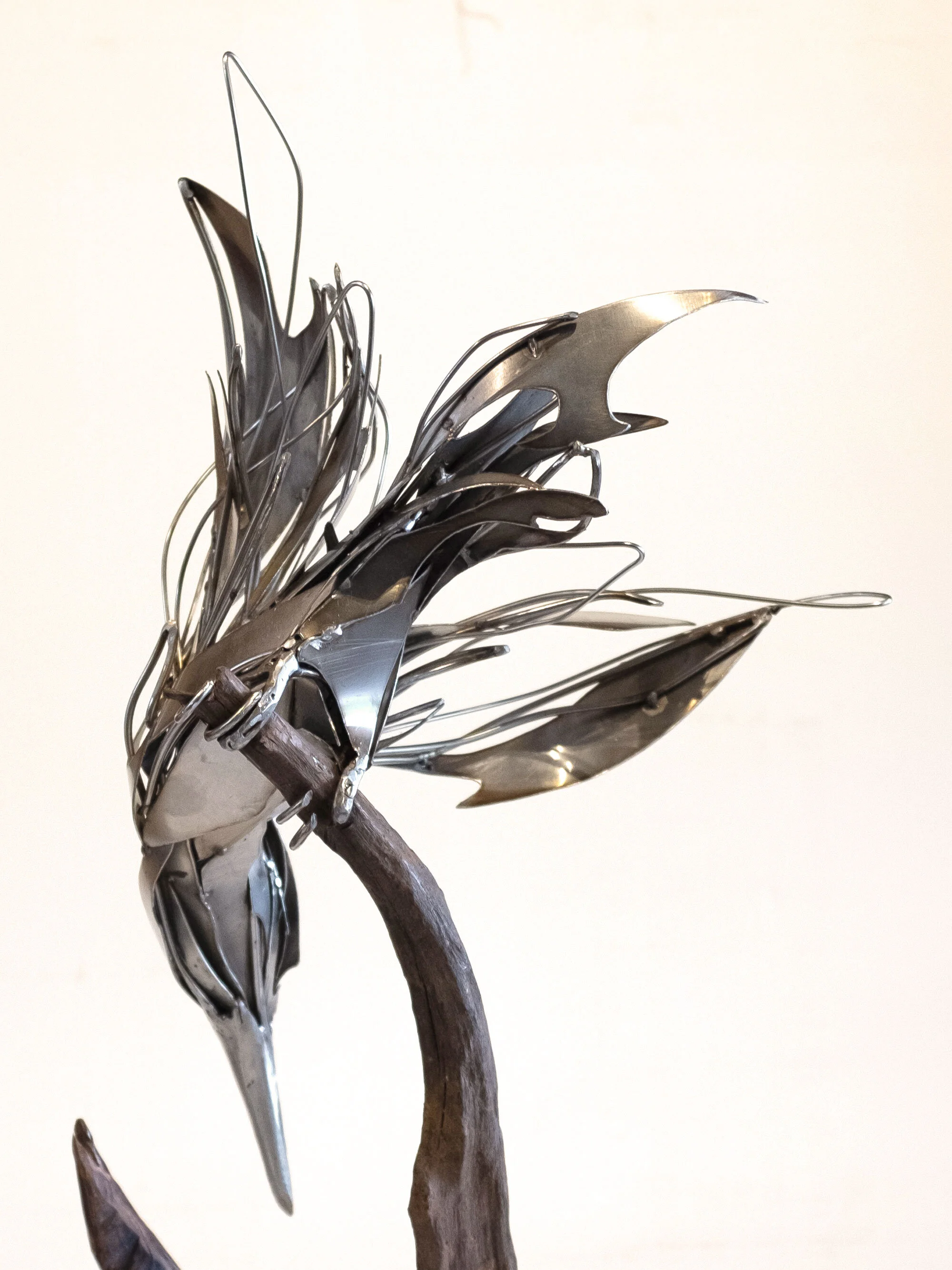 Kingfisher_GeorgieSeccull_web_4.jpg