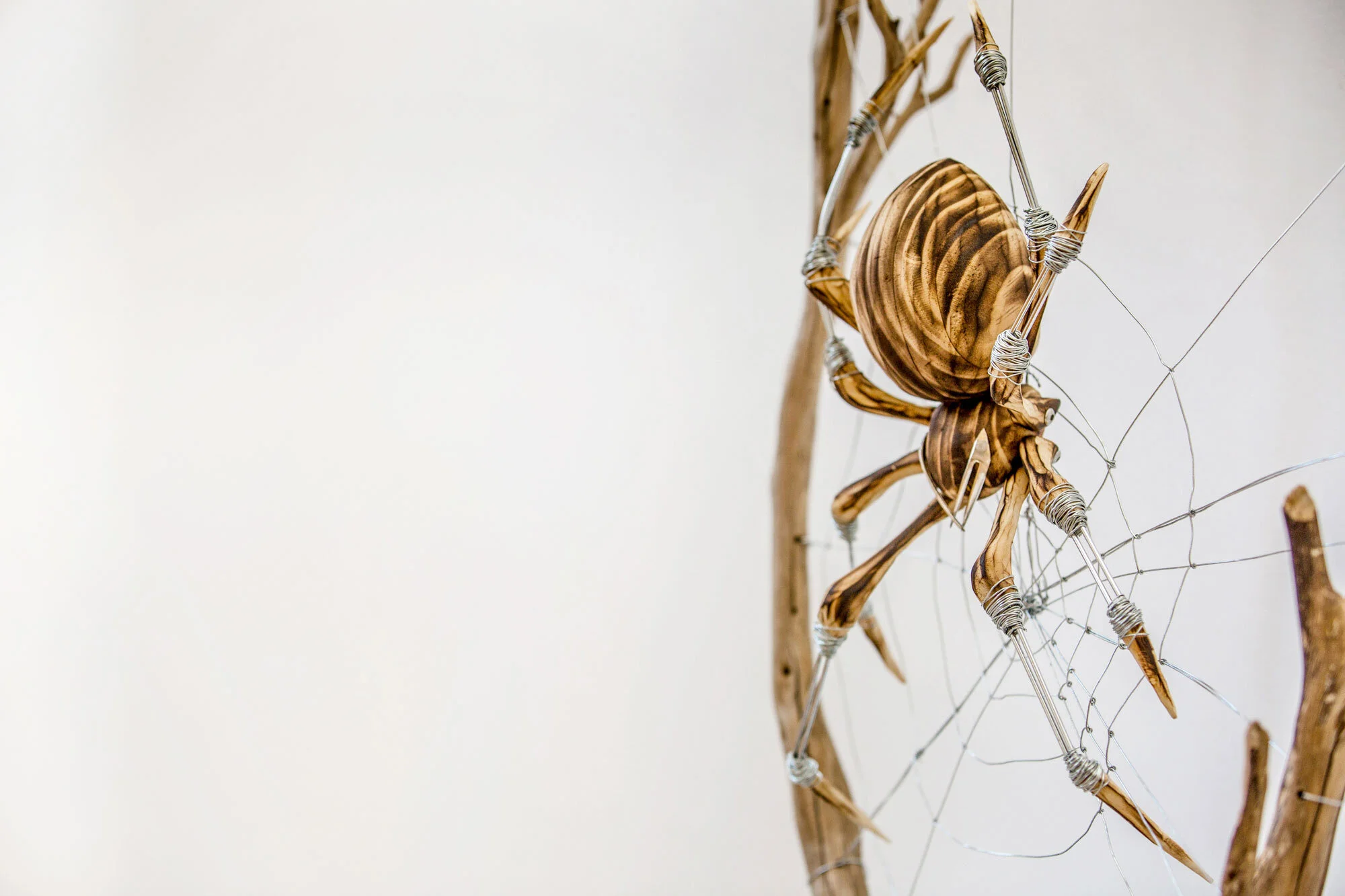 Spider_GeorgieSeccull_web_3.jpg