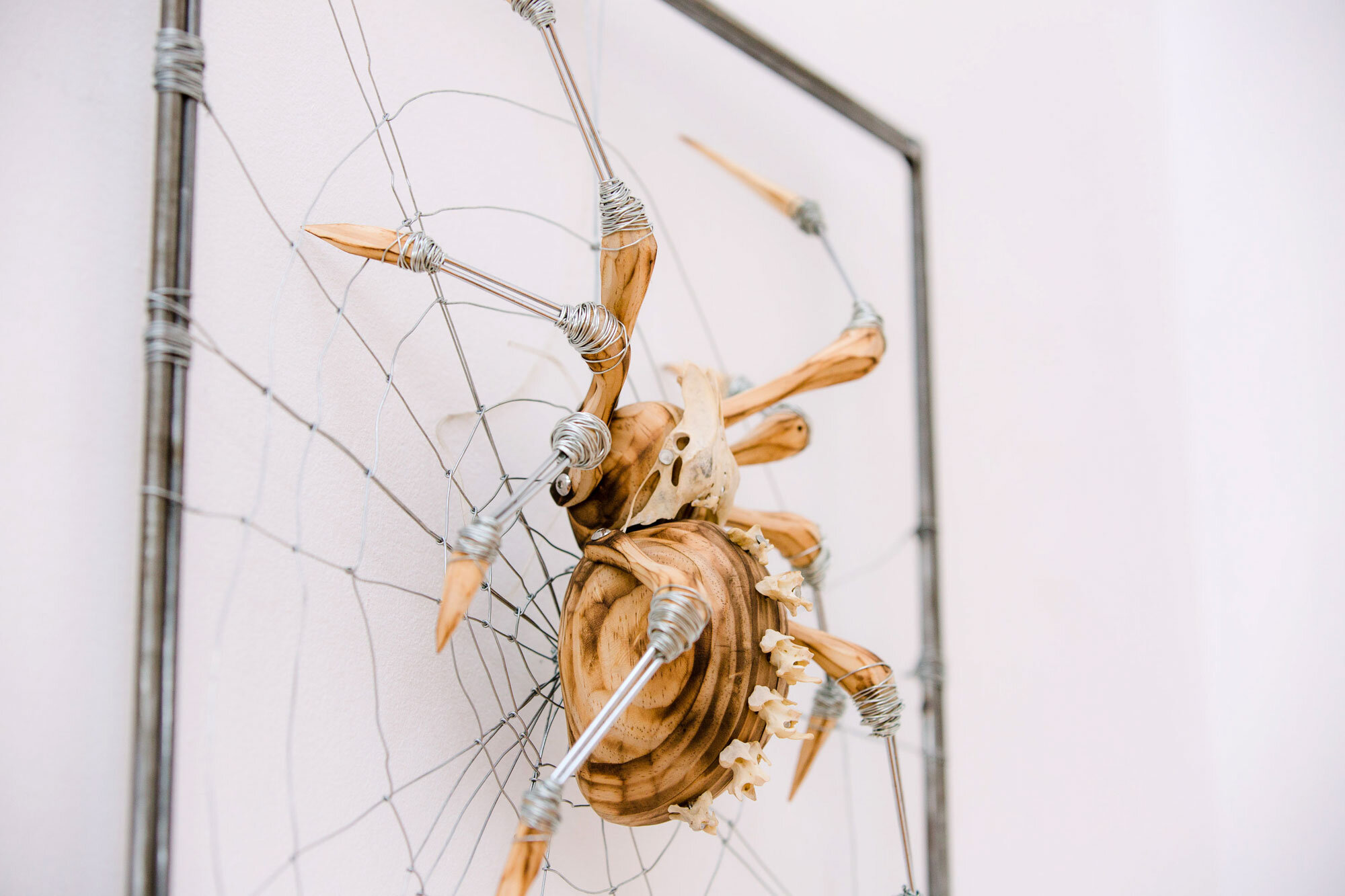 Spider_GeorgieSeccull_web_6.jpg
