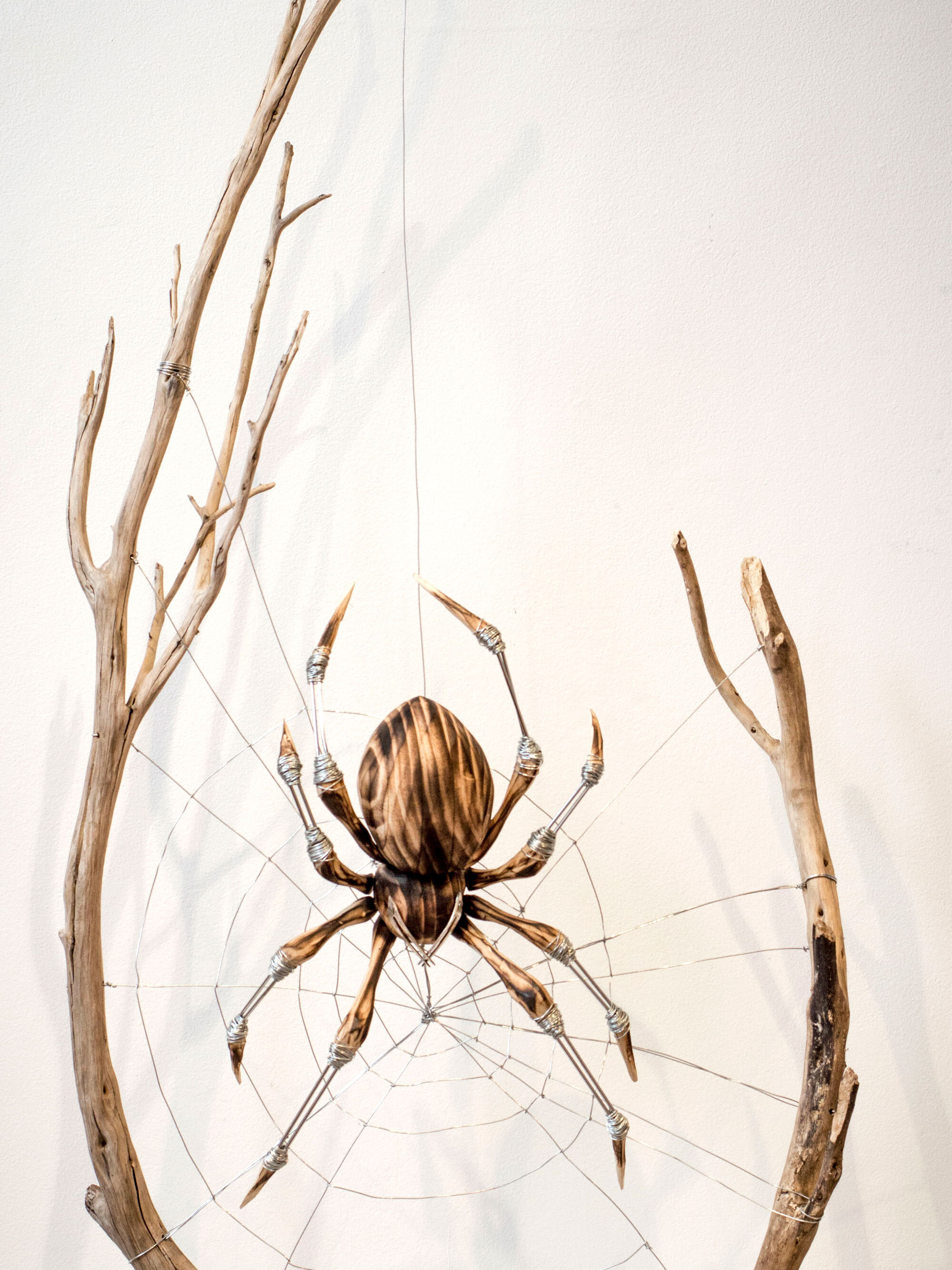 Spider_GeorgieSeccull_web_1b.jpg