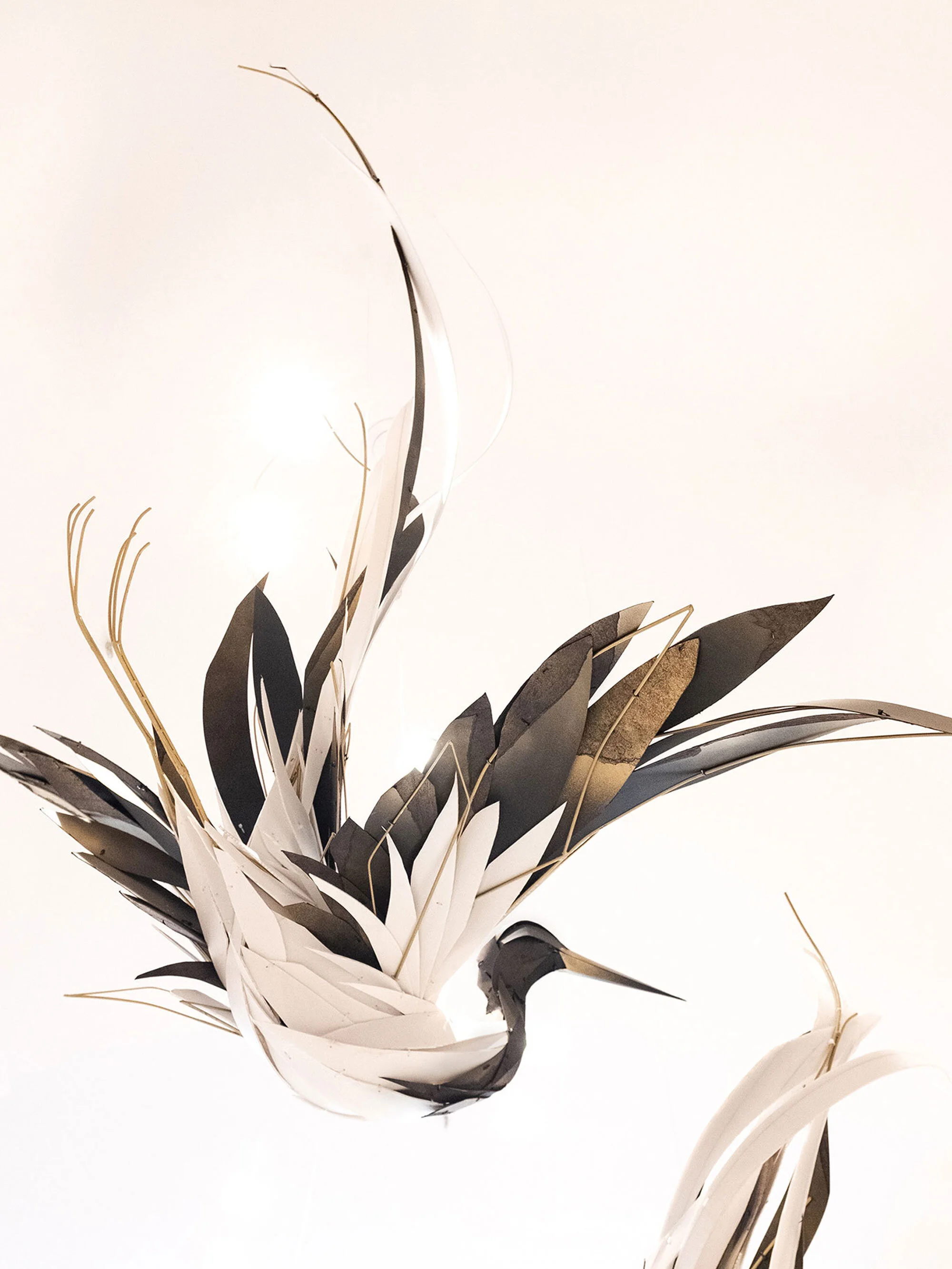 VenusSkies_GeorgieSeccull_web_4.jpg