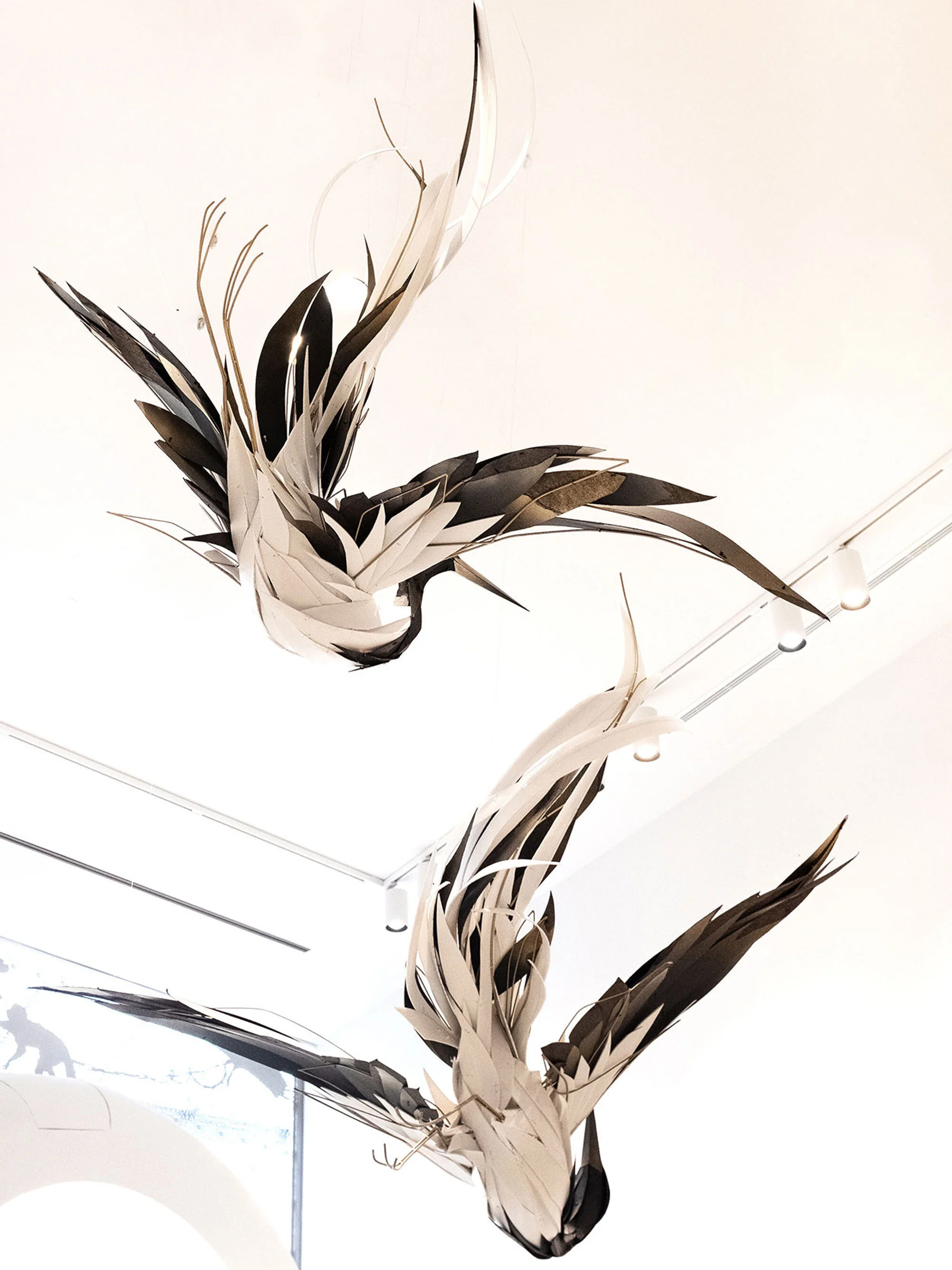 VenusSkies_GeorgieSeccull_web_6.jpg