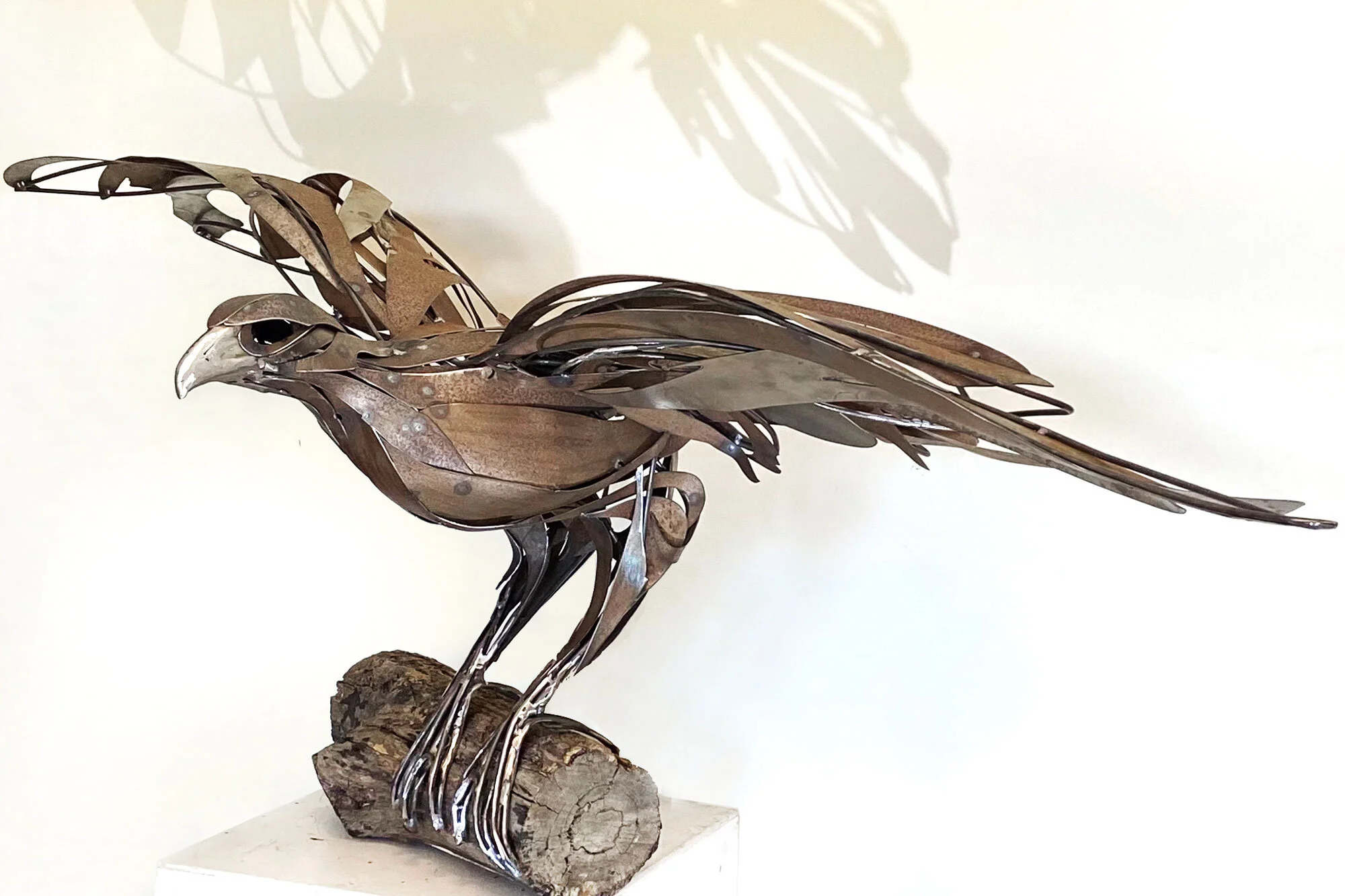 Wedge-tailed-eagle_Georgie-Seccull_3_web.jpg