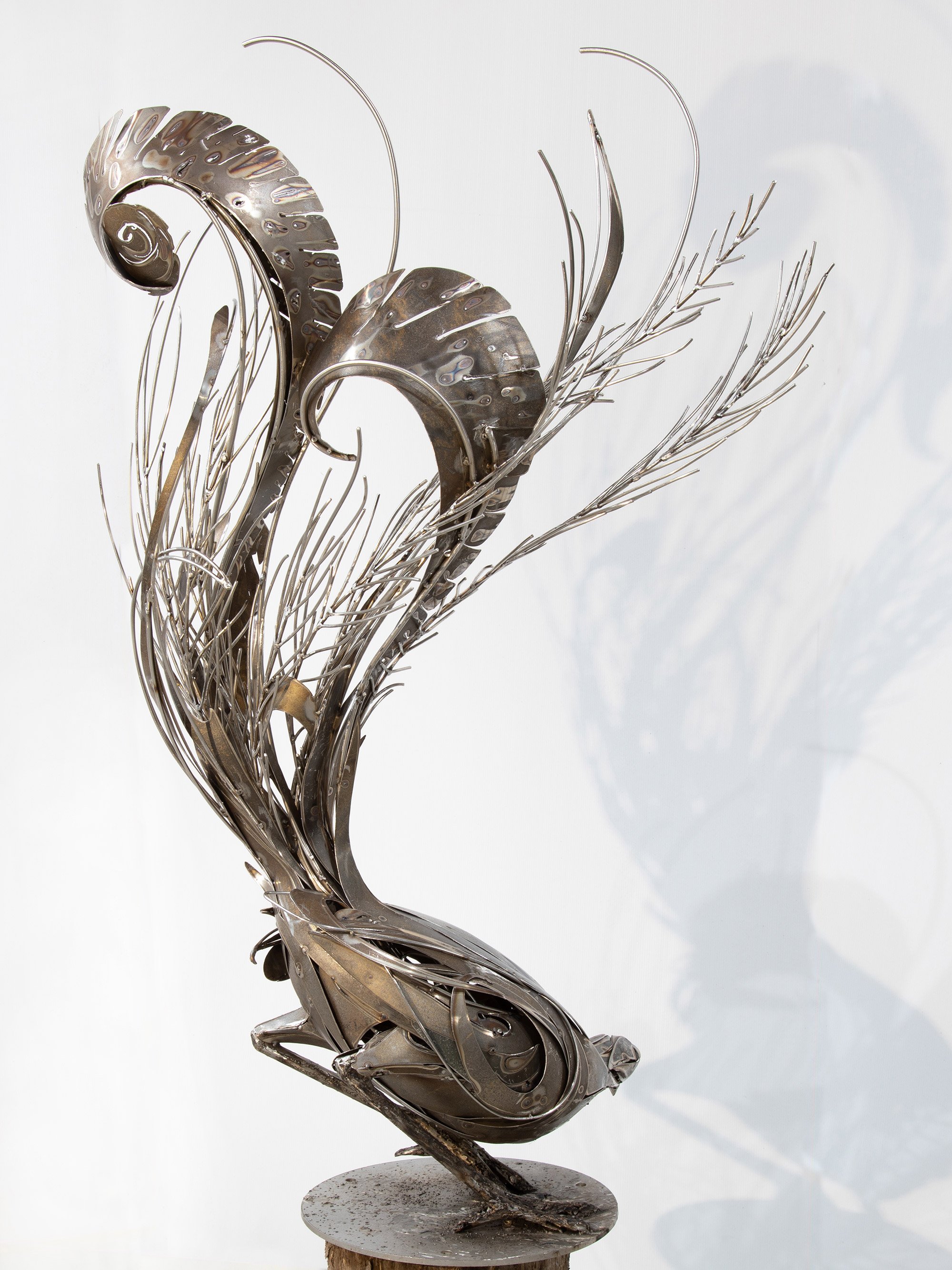 Lyrebird_Georgie_Seccull_web_2.jpg