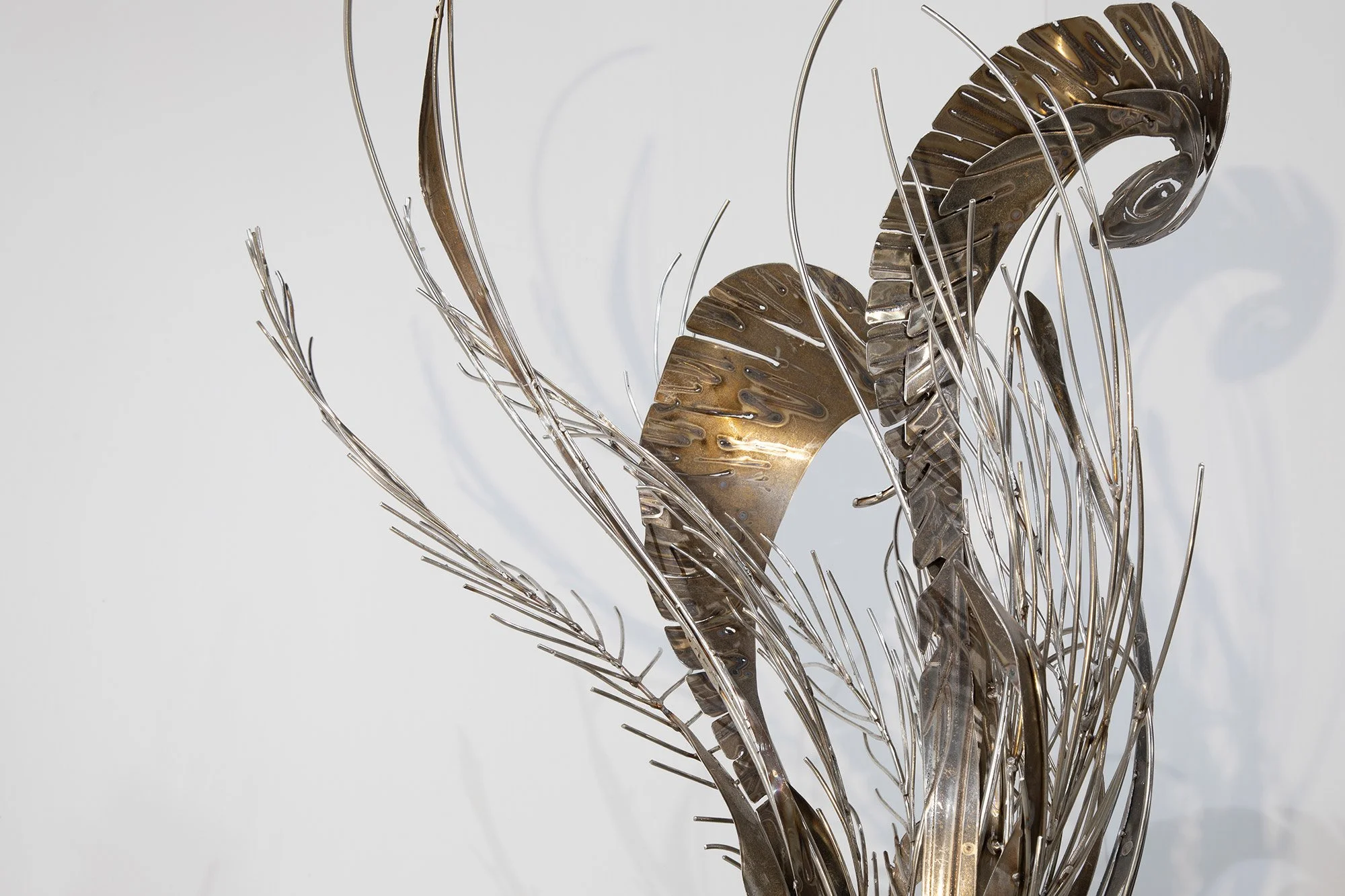 Lyrebird_Georgie_Seccull_web_4.jpg