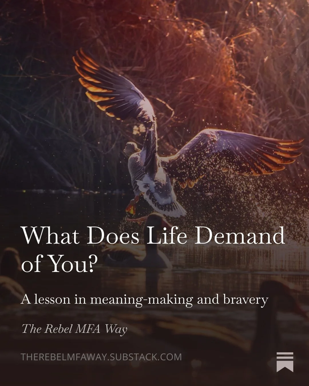 Life Demand_V1.jpeg