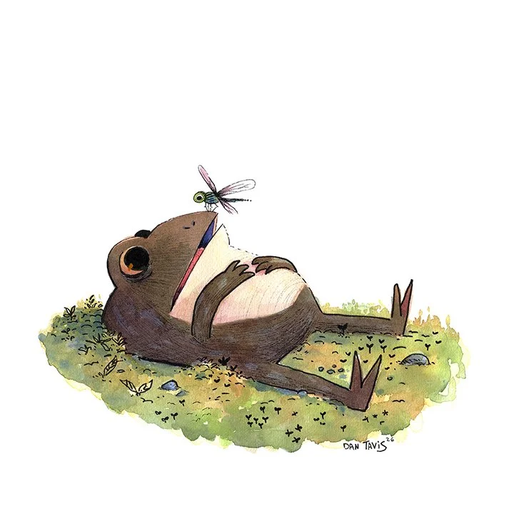 Frog and Dragon Fly.jpg