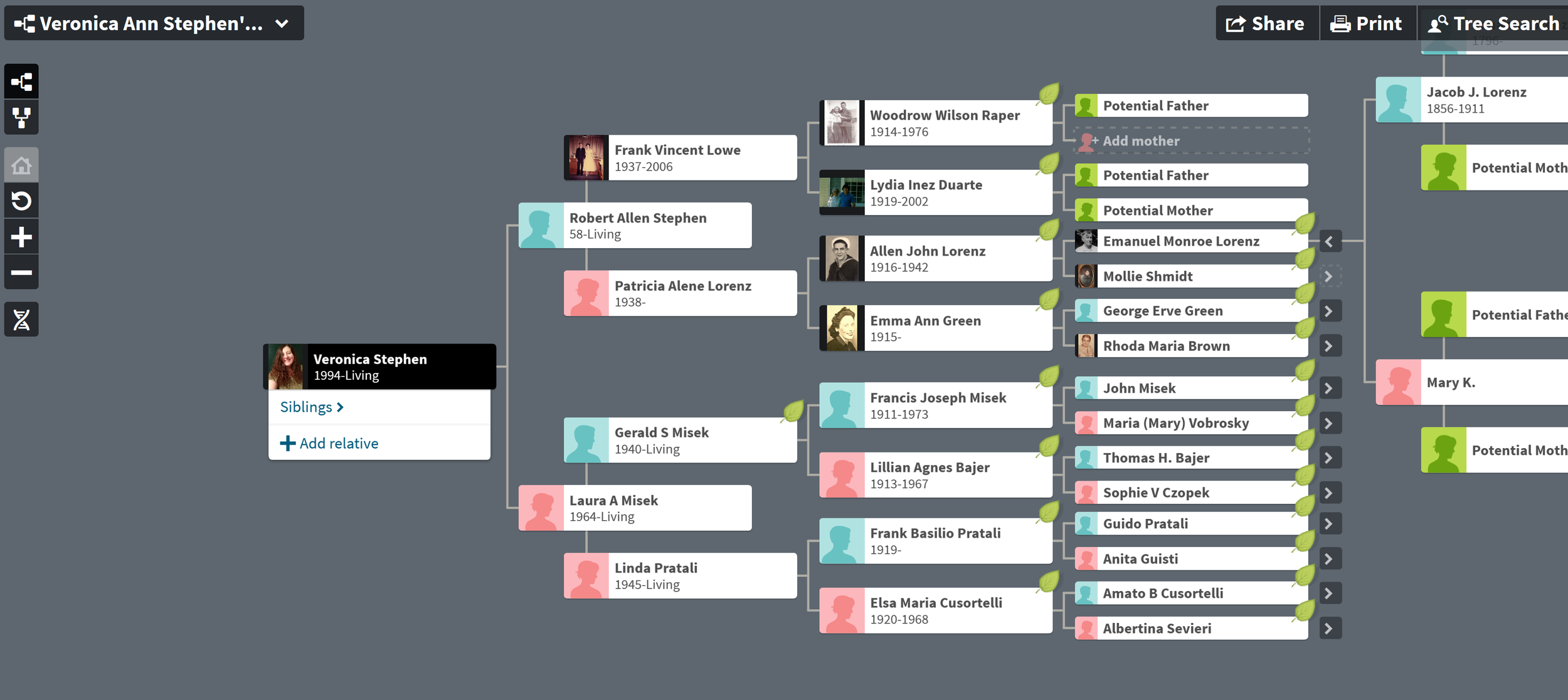 ancestry screenshot.png