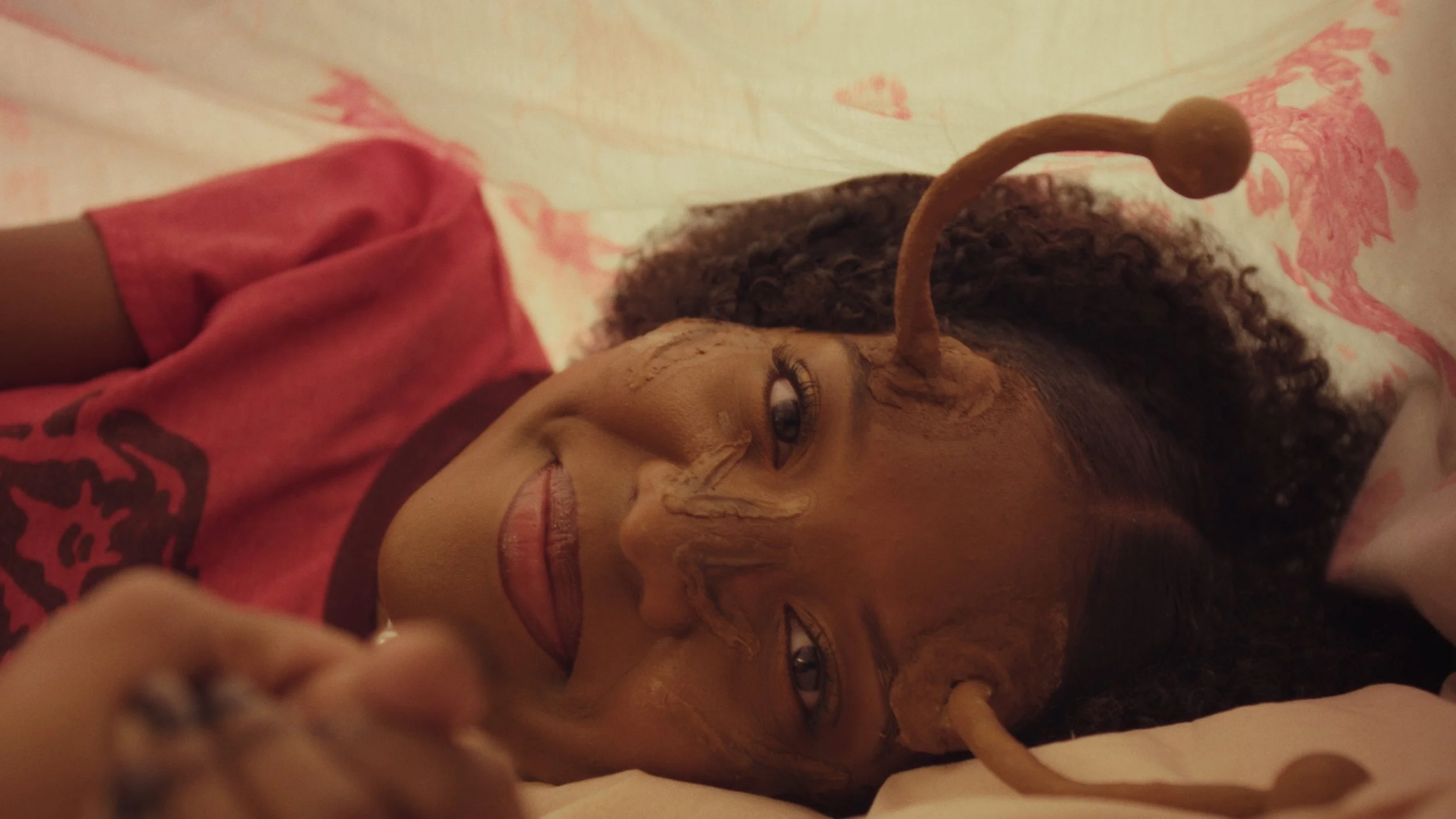 Still 2026-02-04 184523_1.96.1.jpg