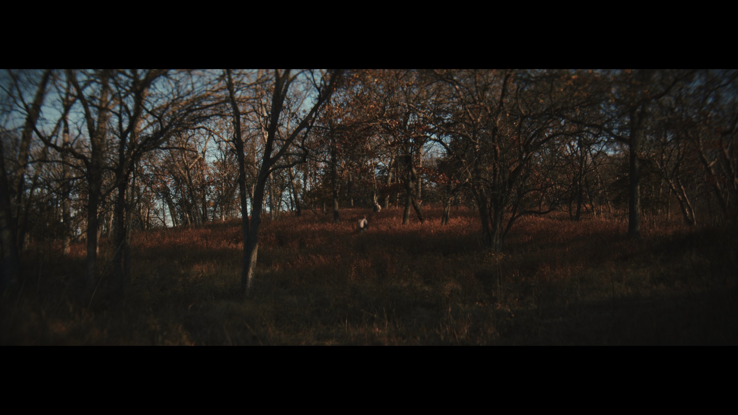 Still 2026-01-07 172527_1.1.1.jpg