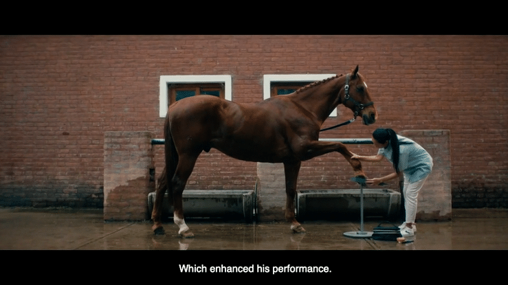 Navarro Correa  - Bubbles - Eng.mp4-high.gif