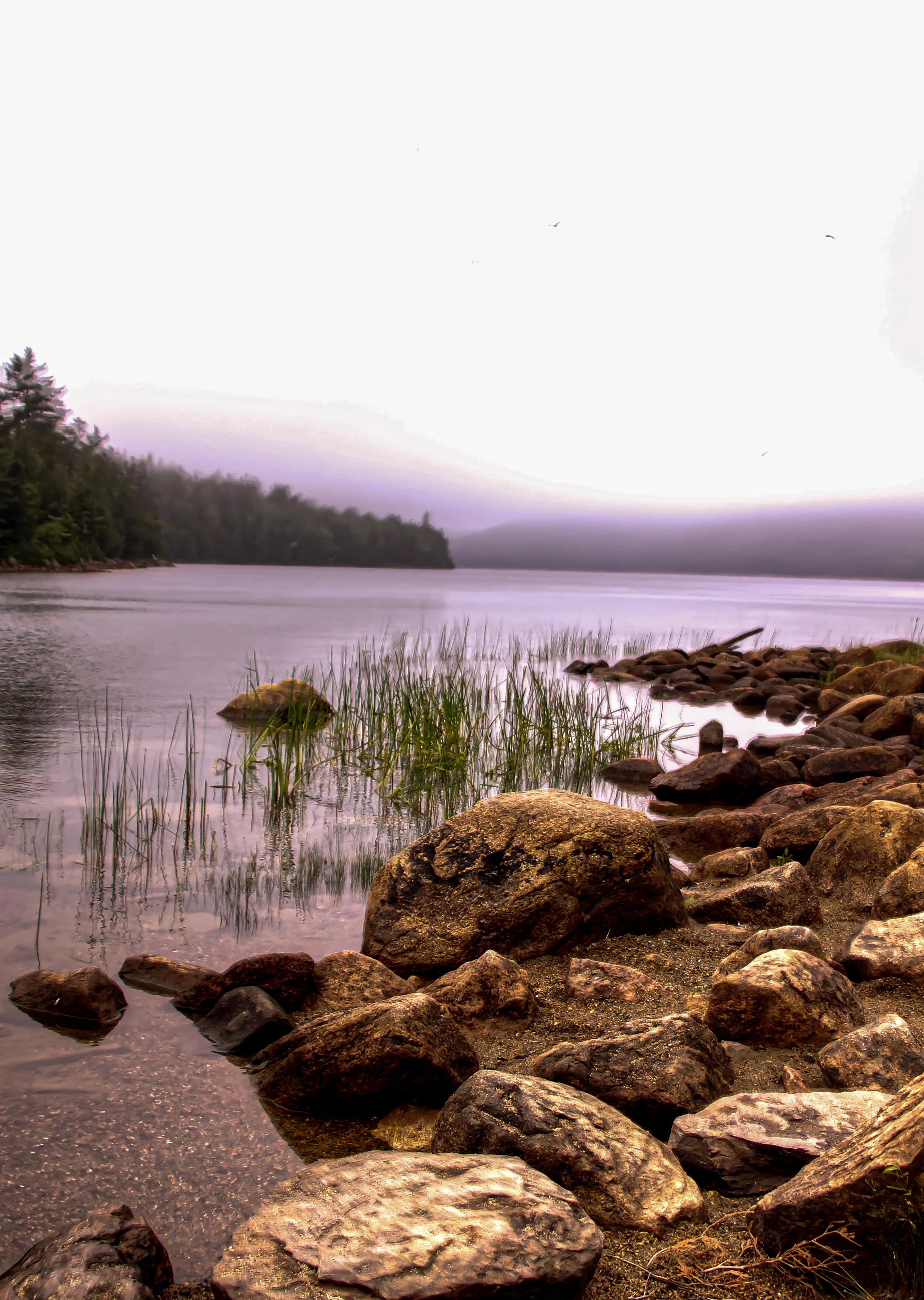Acadia National Park | August 2020