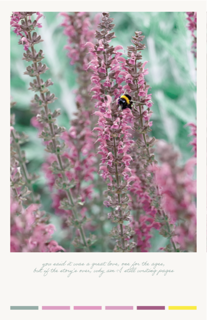 Taylor Swift Lover Album Lyric Poster