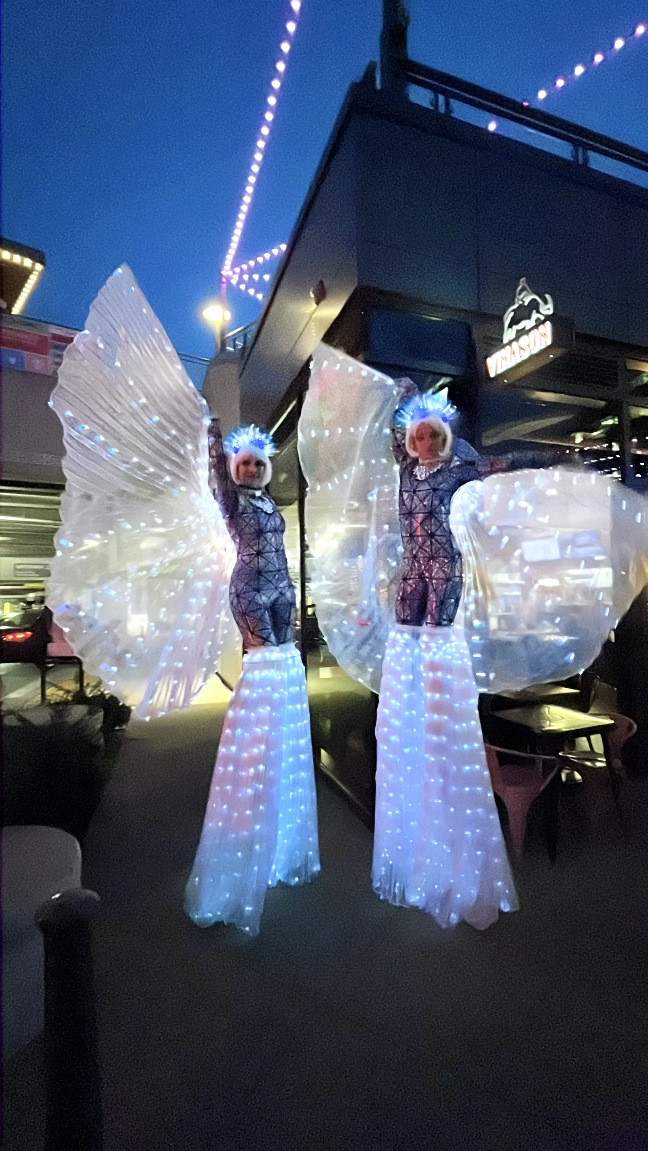 Twinkle-Stilts 2.jpg