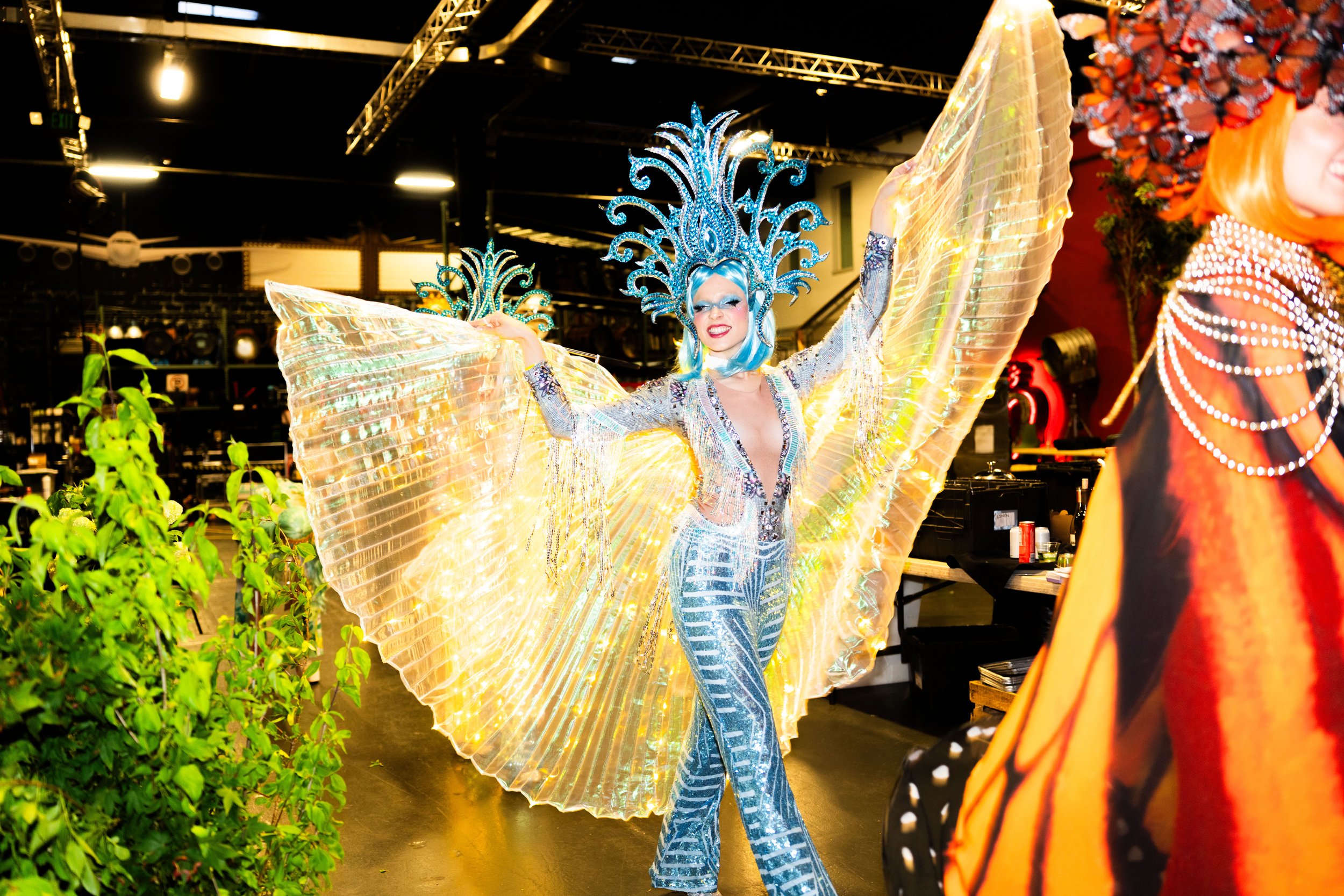 Copy of DSC05271.jpg