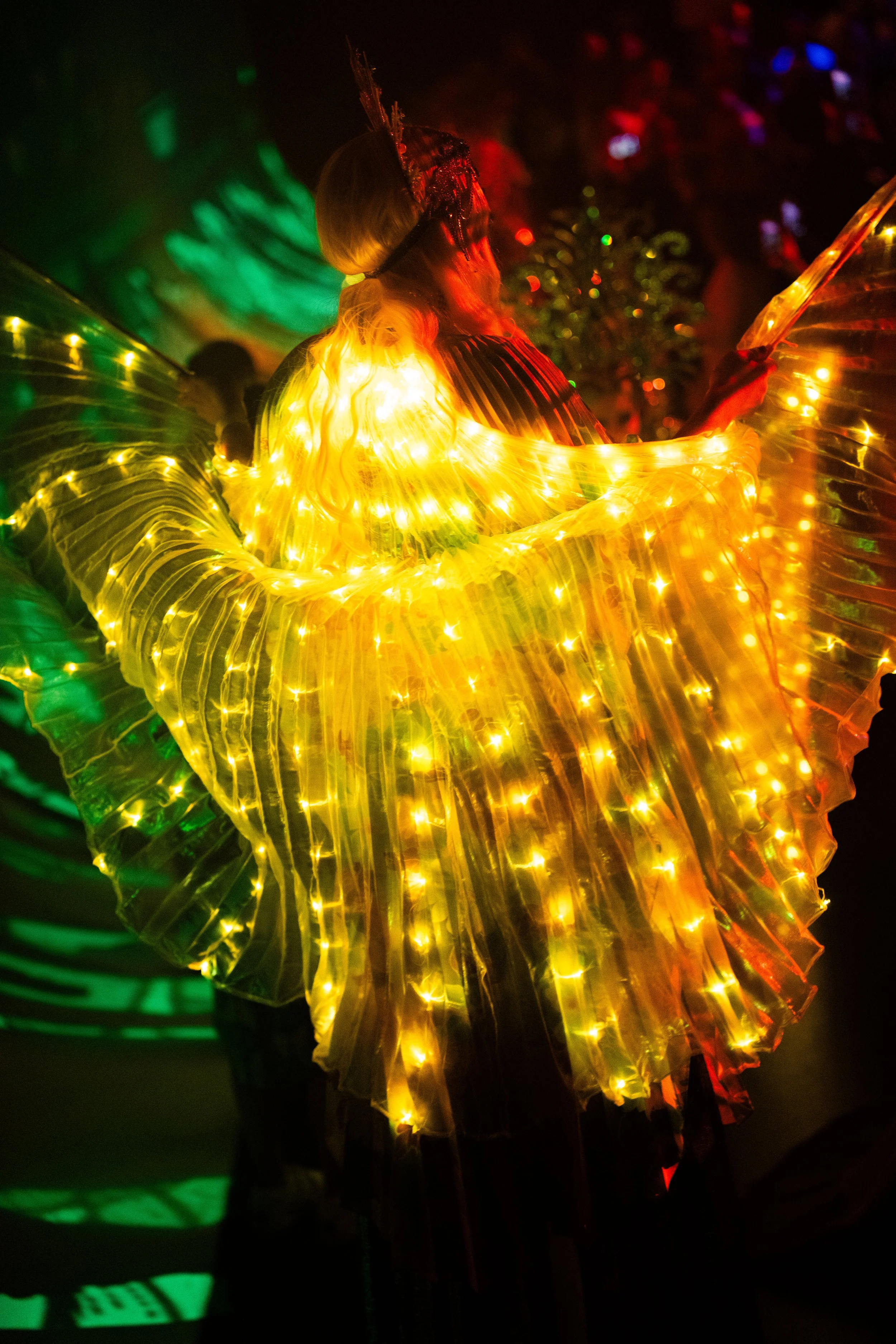 Copy of DSC05730.jpg