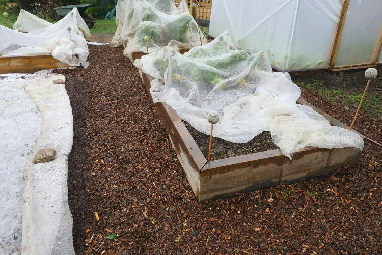 New nodig beds, woodburning stoves and chicken lockdown