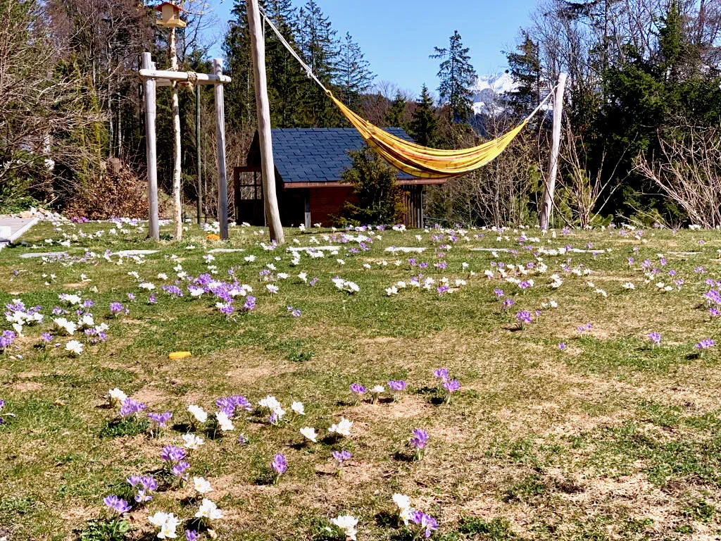 WhatsApp Image 2021-03-30 at 14.08.31.jpeg