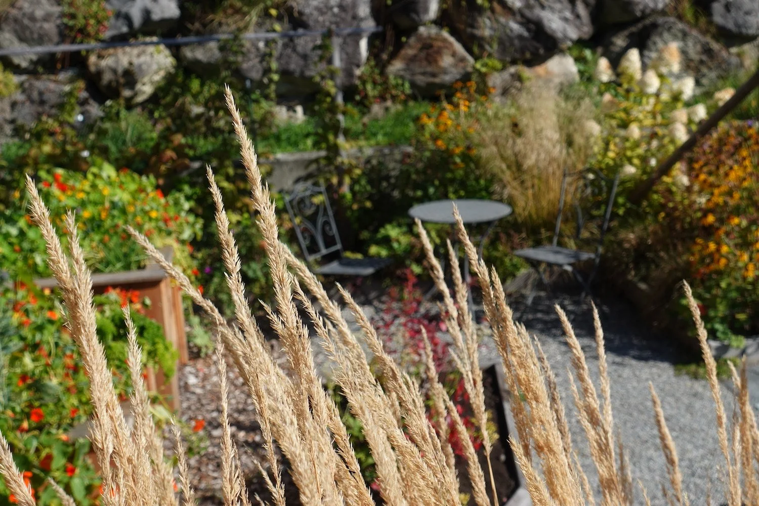 Garten in Grindelwad, Herbst 2021