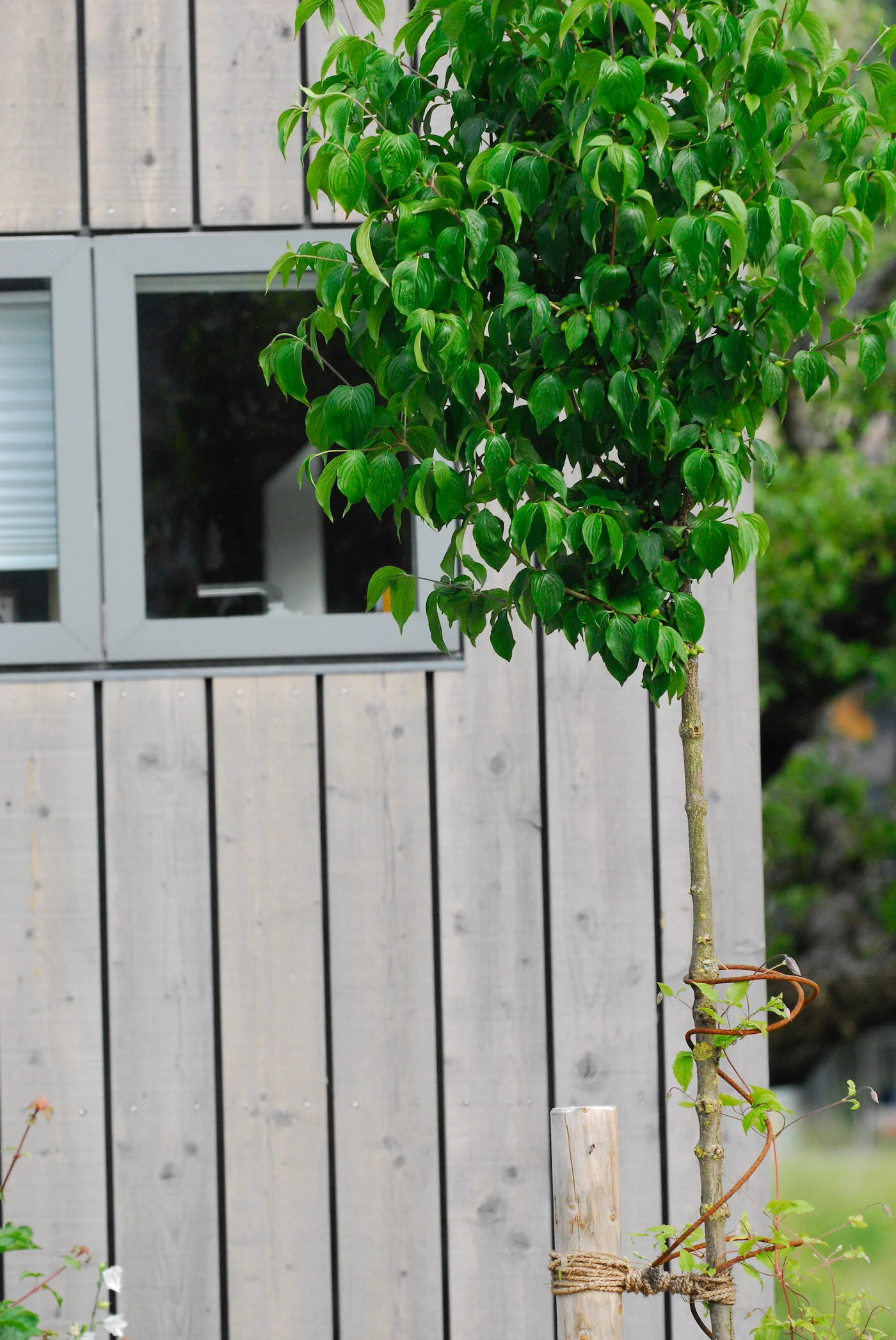 Mark Fetzer Gartengestaltung - 15.jpeg