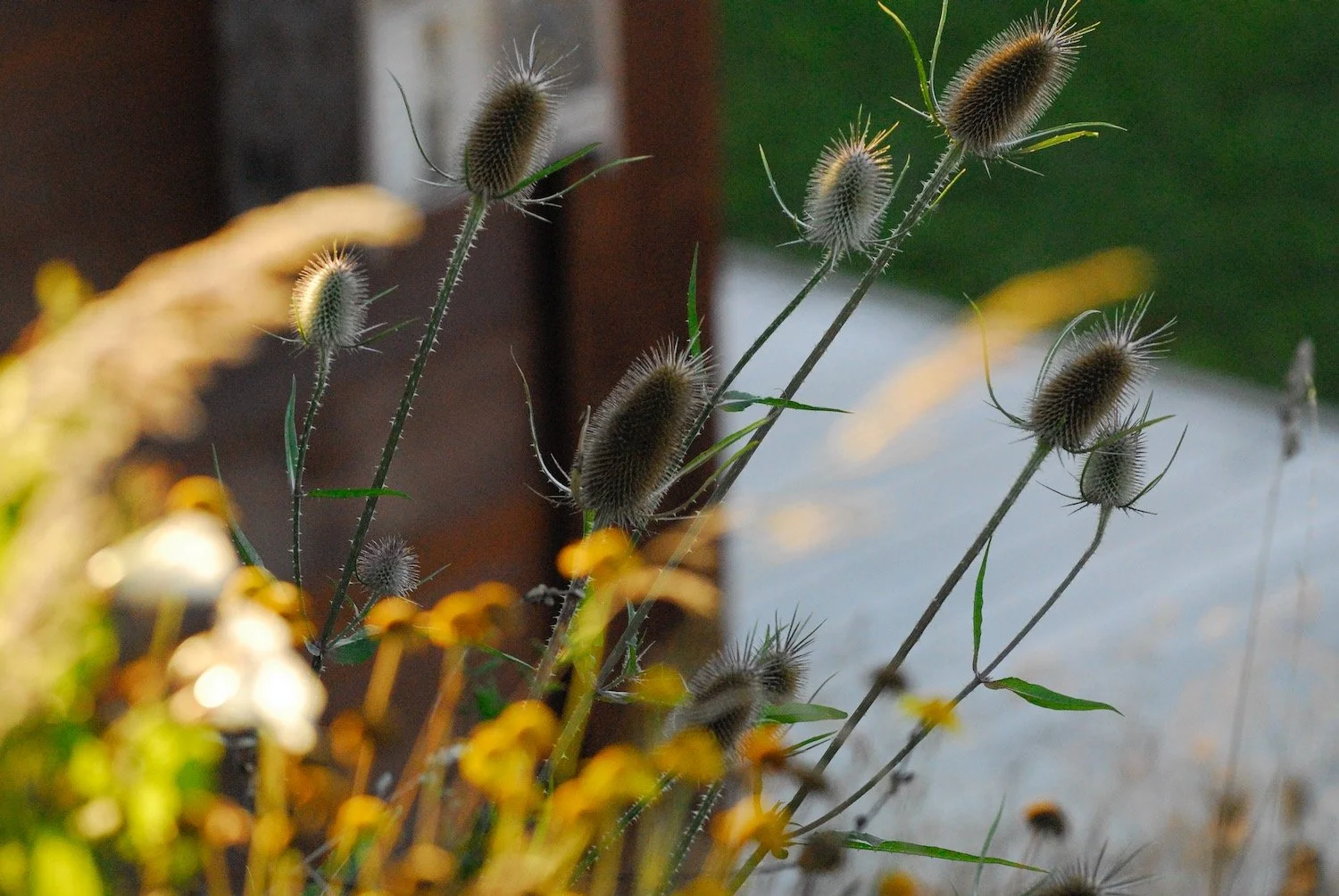 Mark Fetzer Gartengestaltung - 10.jpeg