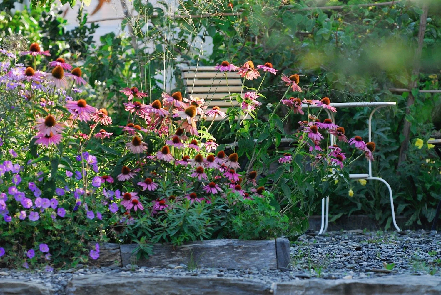 Mark Fetzer Gartengestaltung - 9 (1).jpeg