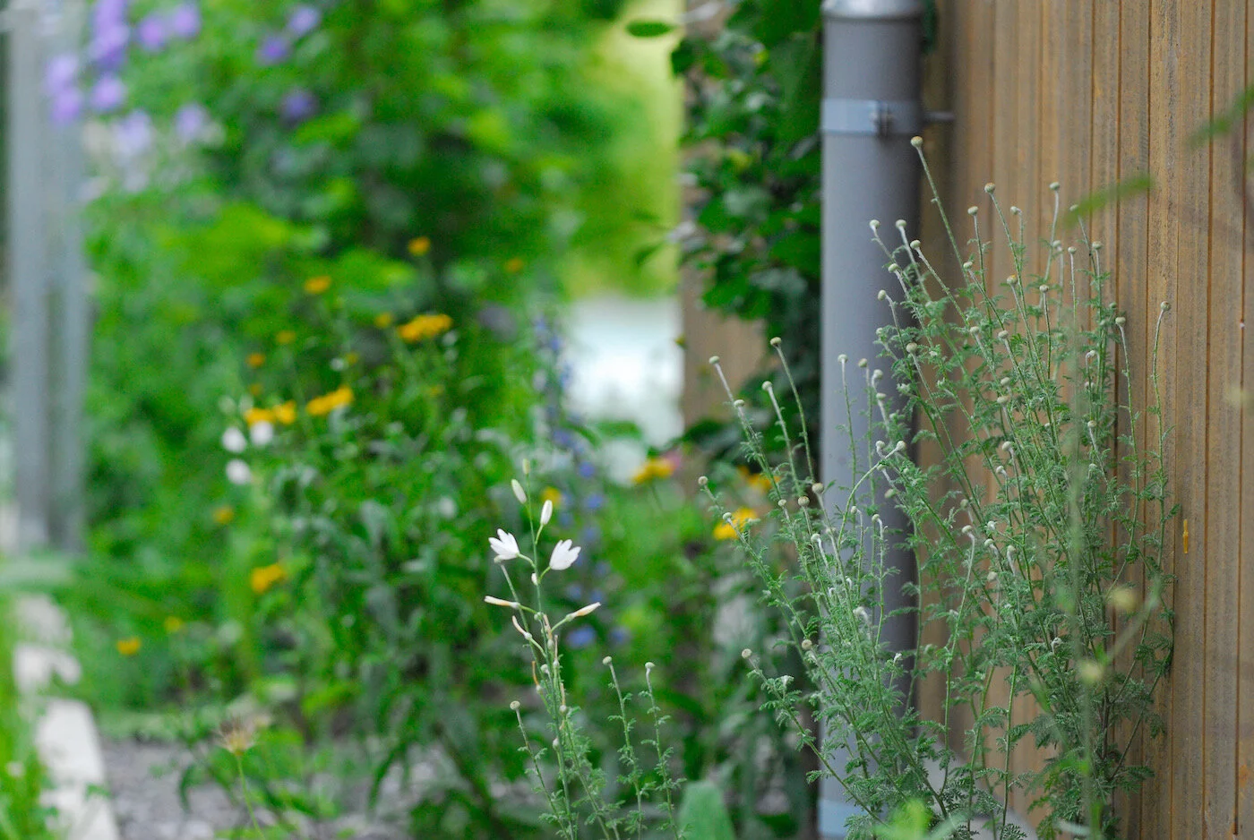 Mark Fetzer Gartengestaltung - 13.jpeg