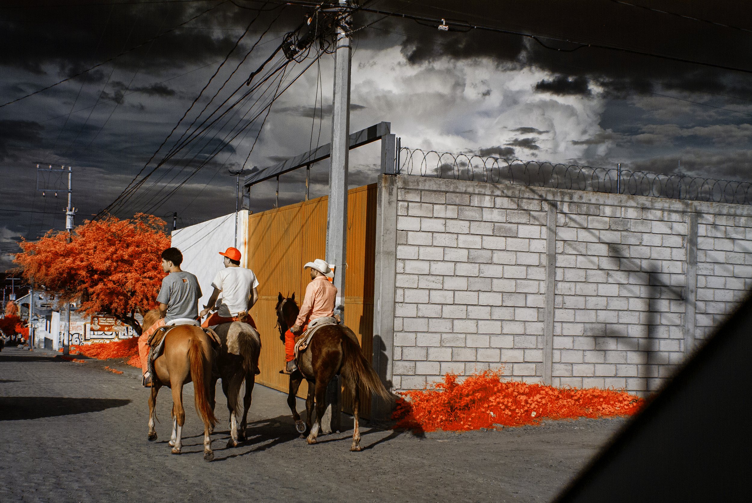IR_14.jpg